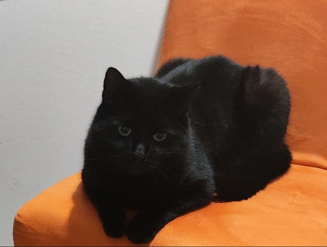 Hades  - Mondscheinweg, Mistelbach