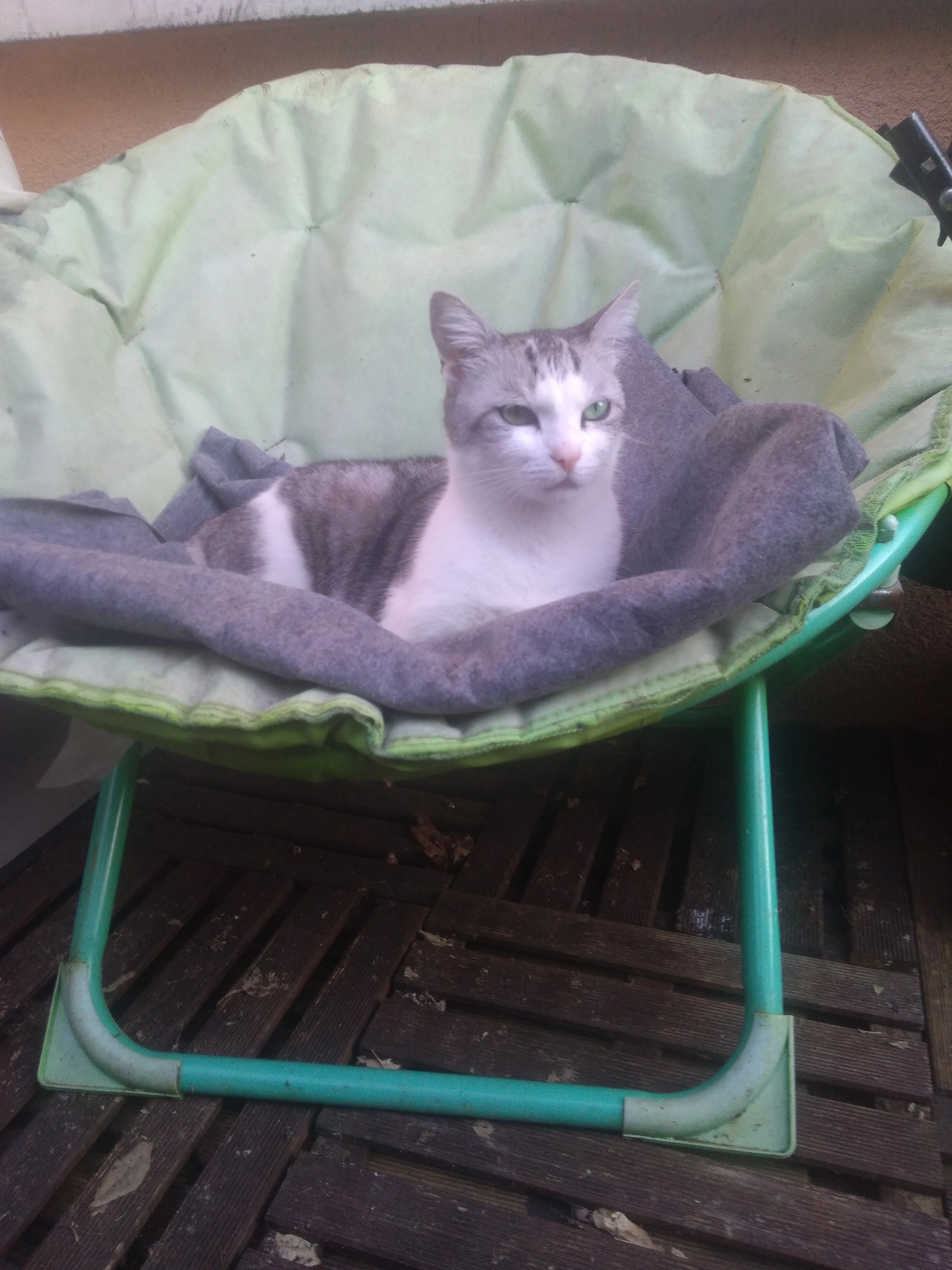 Luna - Les Chargnes, Vallenay