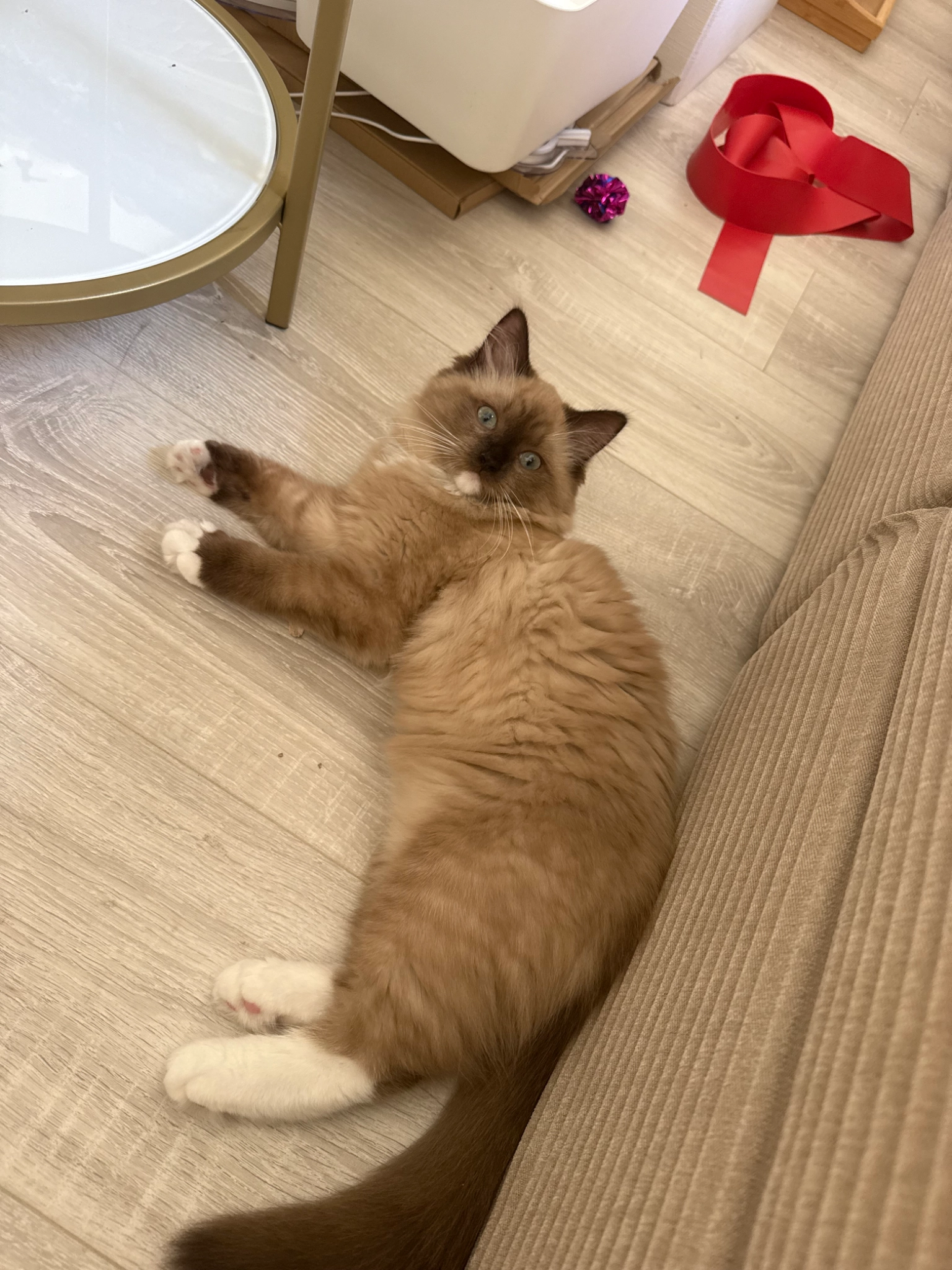 Mocha - Rue Molière, Lyon