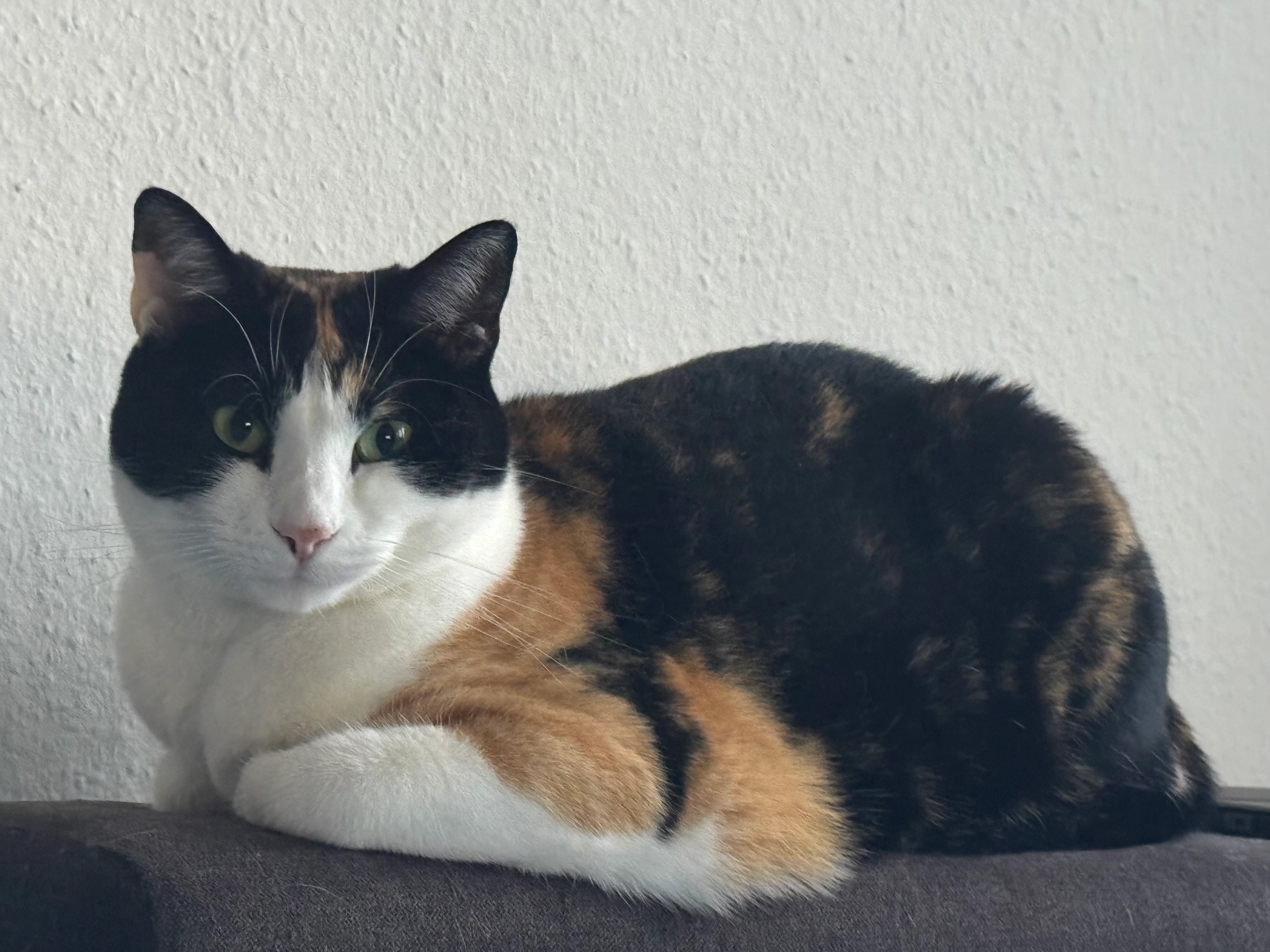 Nina - 34 Rue de la Libération, Esch-sur-Alzette