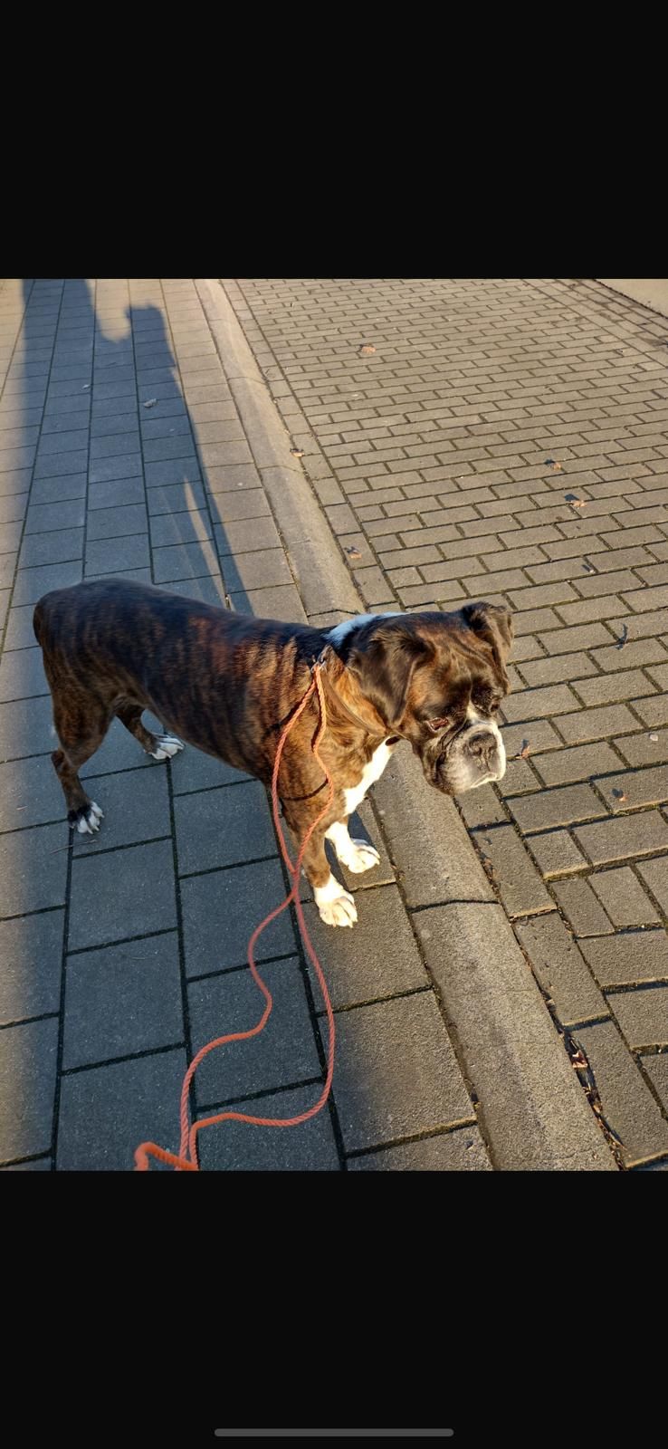 Marie - Doornstraat, Brugge