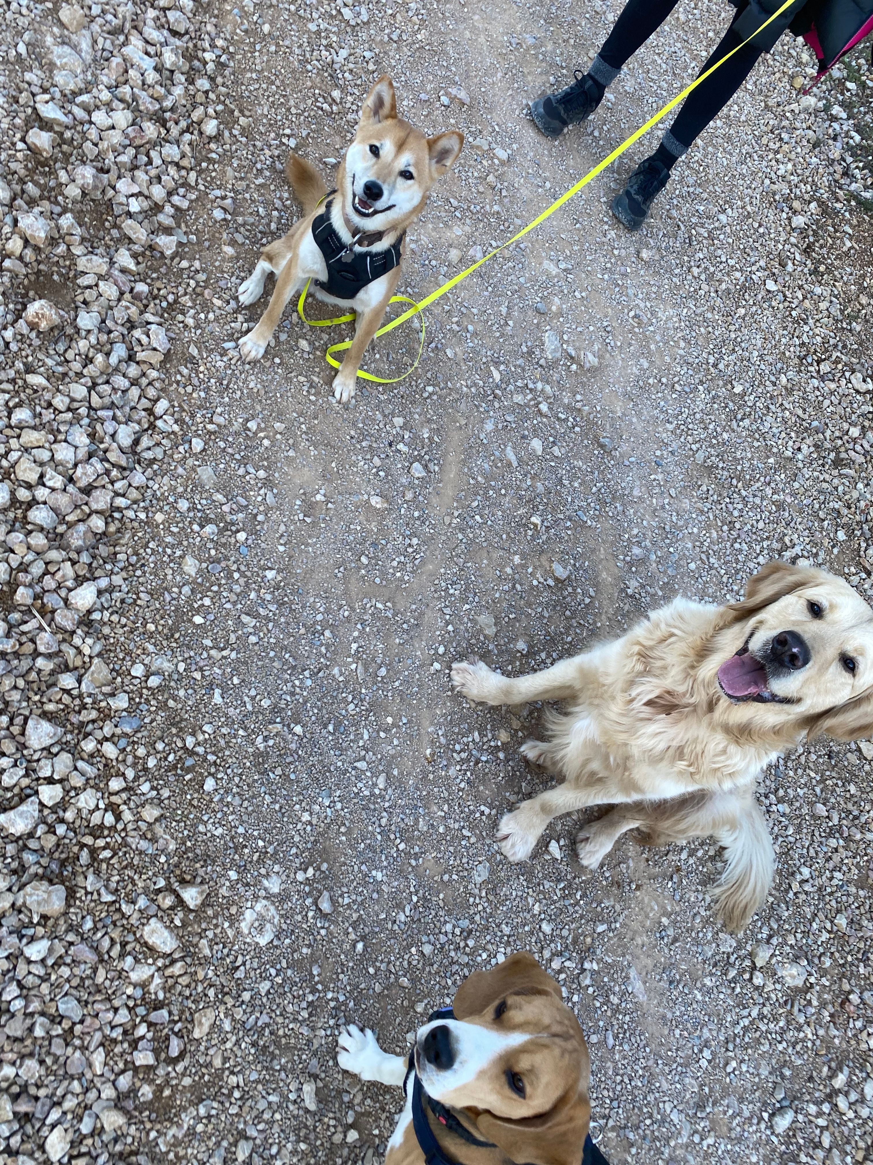 Kuma - P 544, Fos-sur-Mer