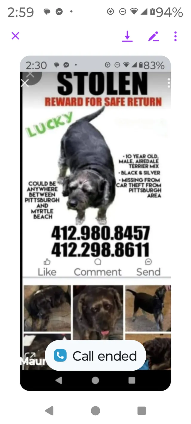 Lucky - S Live Oak Pkwy, Wilmington