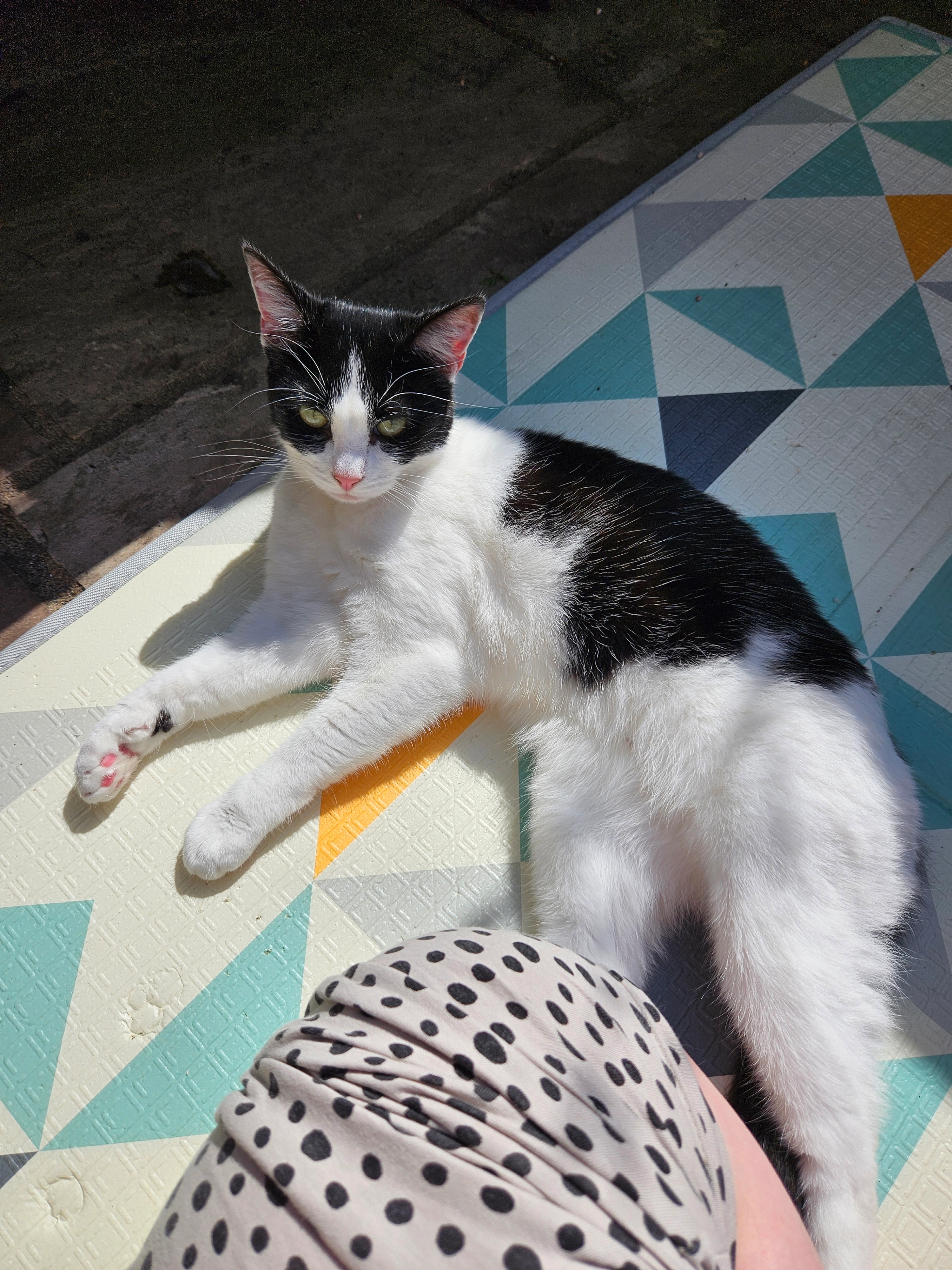 Floki - Fleet Street, Plymouth