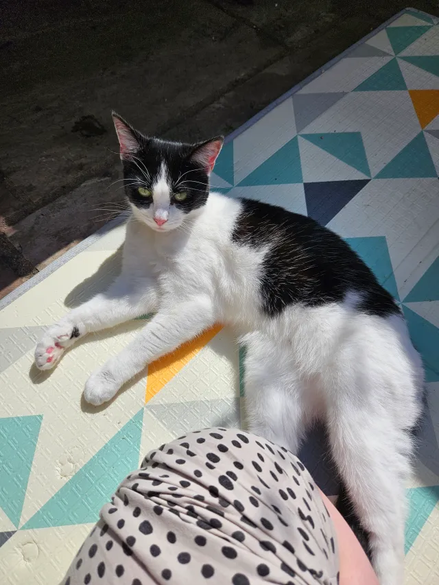 Floki - Fleet Street, Plymouth