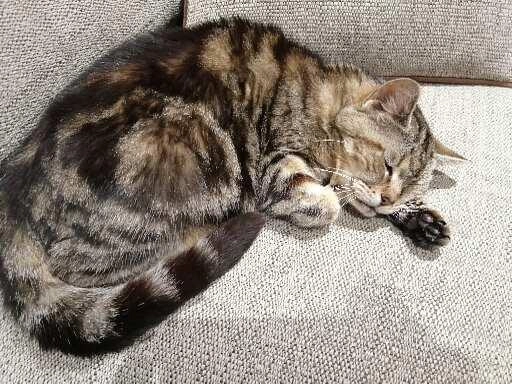 Jem - SK2 7, Stockport