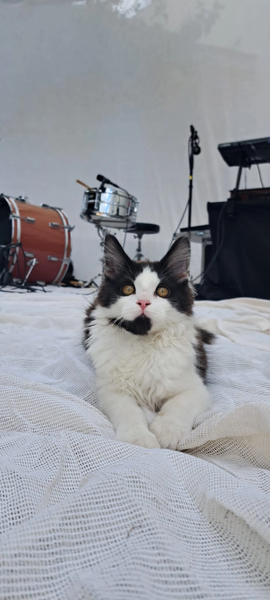 Adriano - Paulustorgasse 13A, Graz