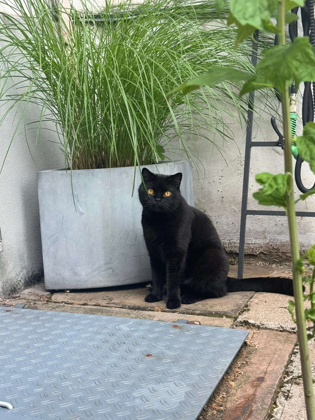 Jack - Friedrich-Engels-Allee, Wuppertal