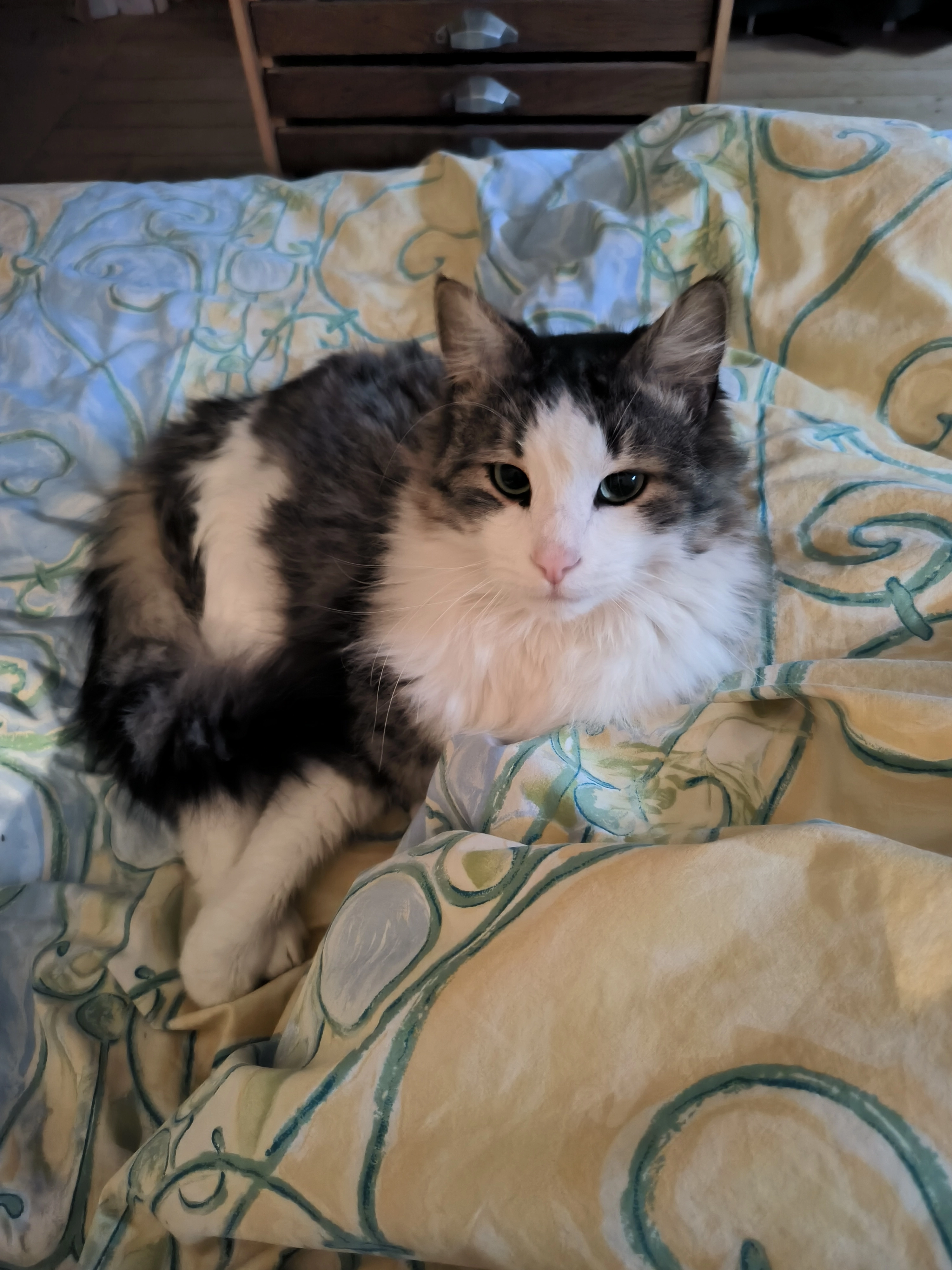 Gunther - D 421, Melsheim