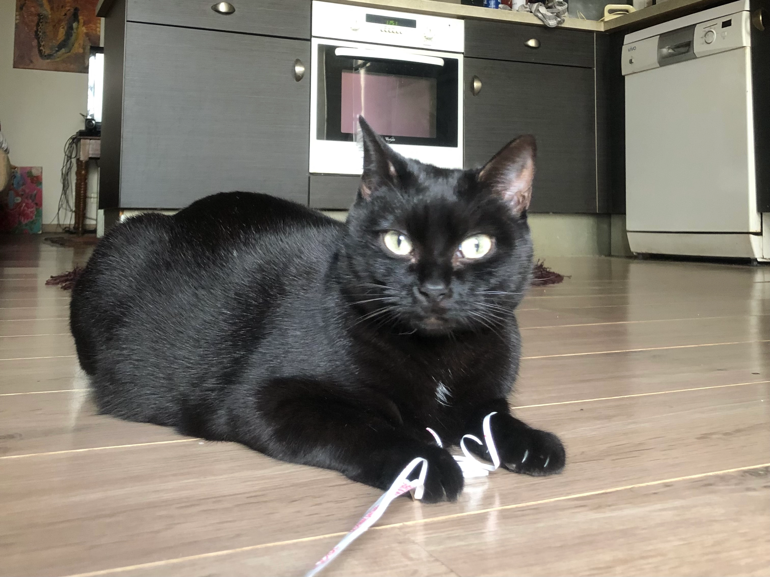 Tchika - 6 Rue de Boigne, Chambéry