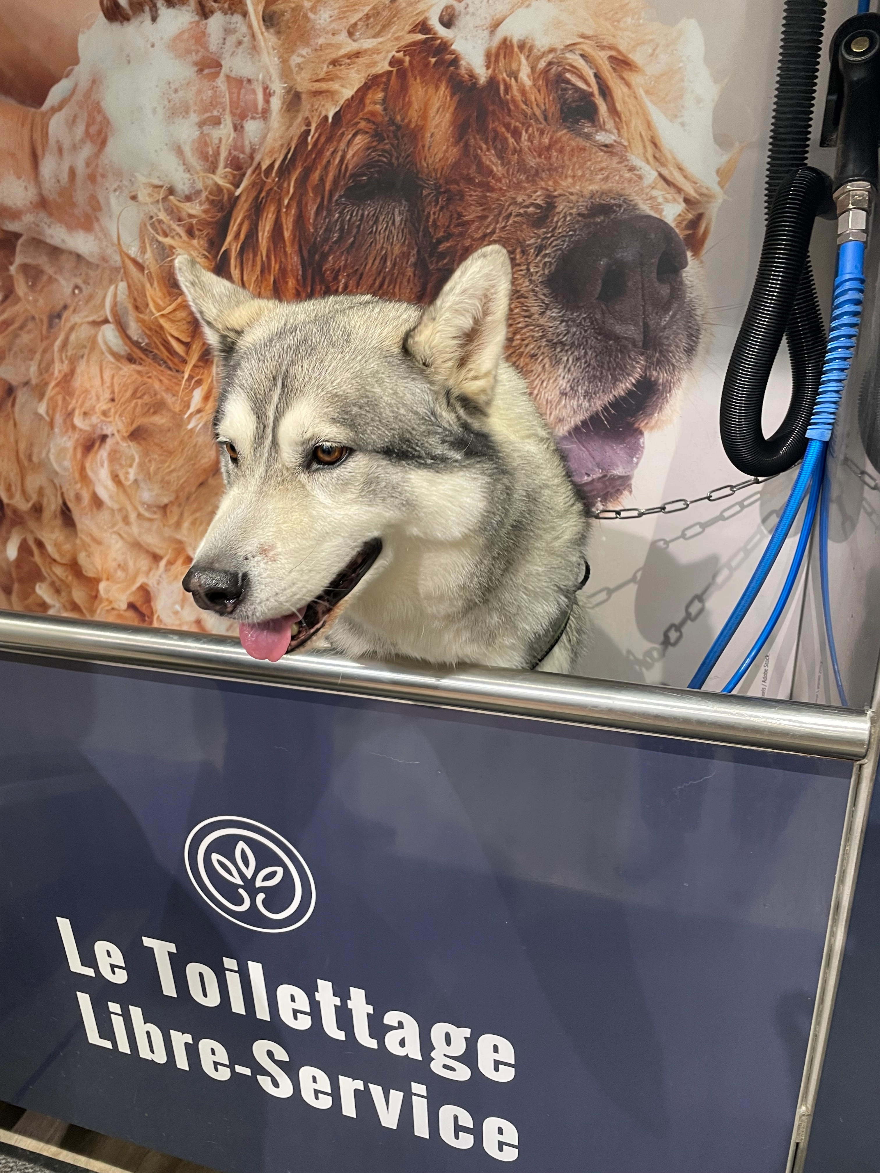 Ninyo - Impasse de la Roche, Saint-Romain-en-Gal