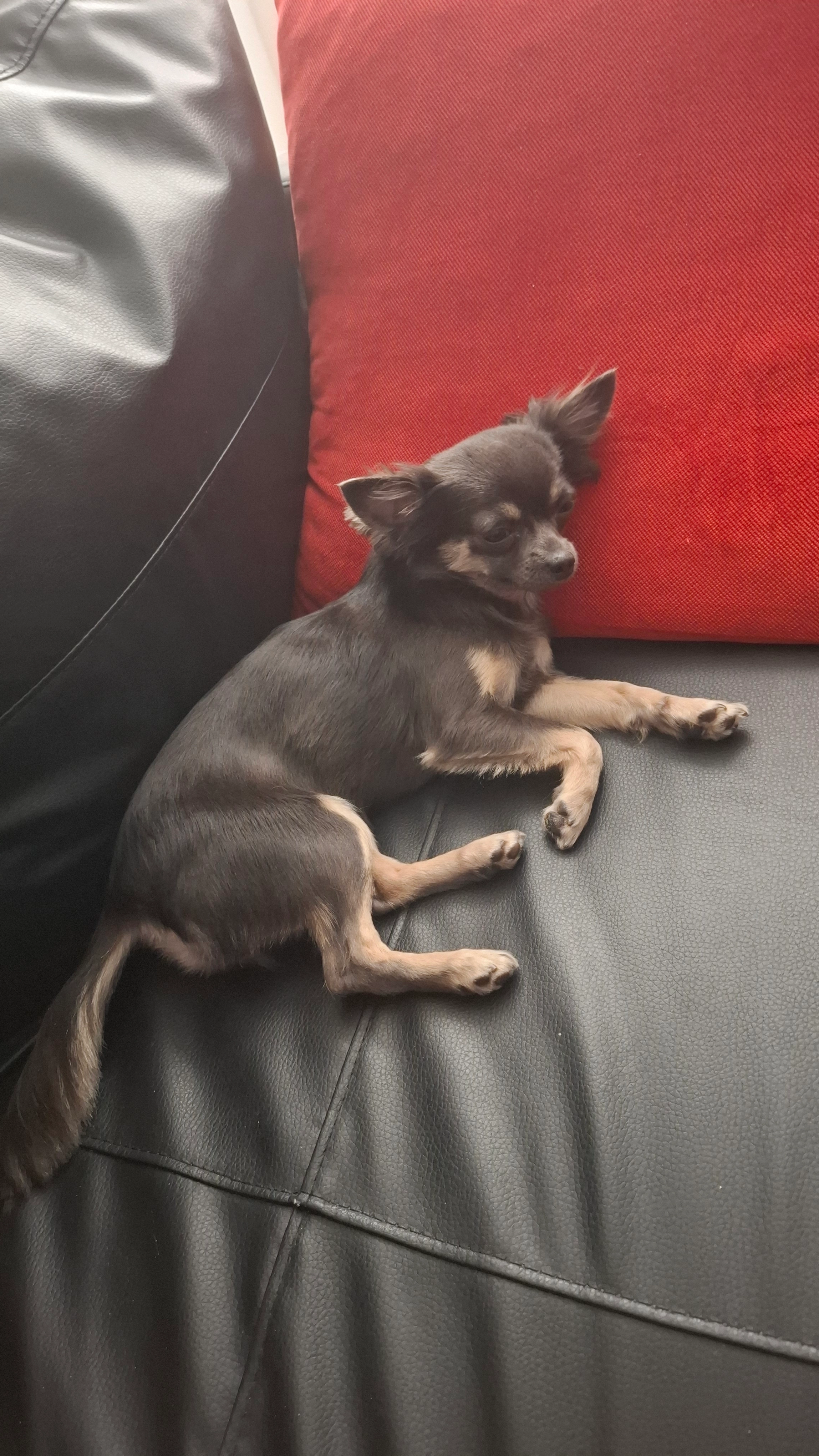 Minnie - Rue de Bois-d'Haine 50, Manage