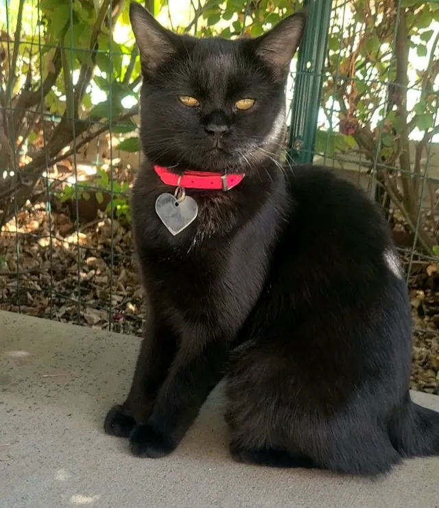 Grems - North Butler Avenue, Farmington