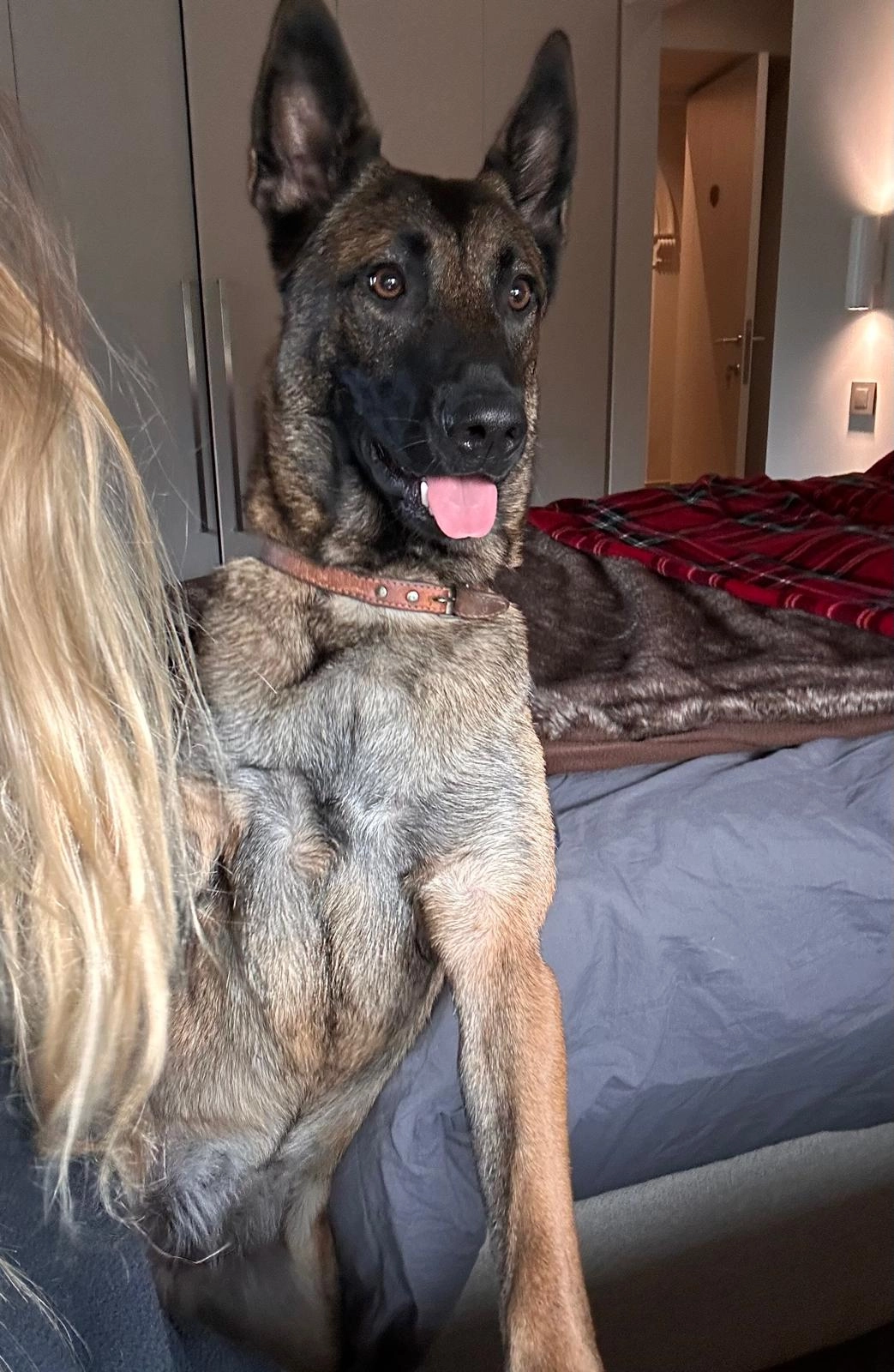 Belle - Rue De L'égalité, Leforest