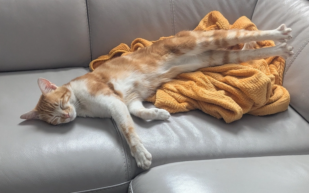 Luffy - Allée François Mauriac, Margency