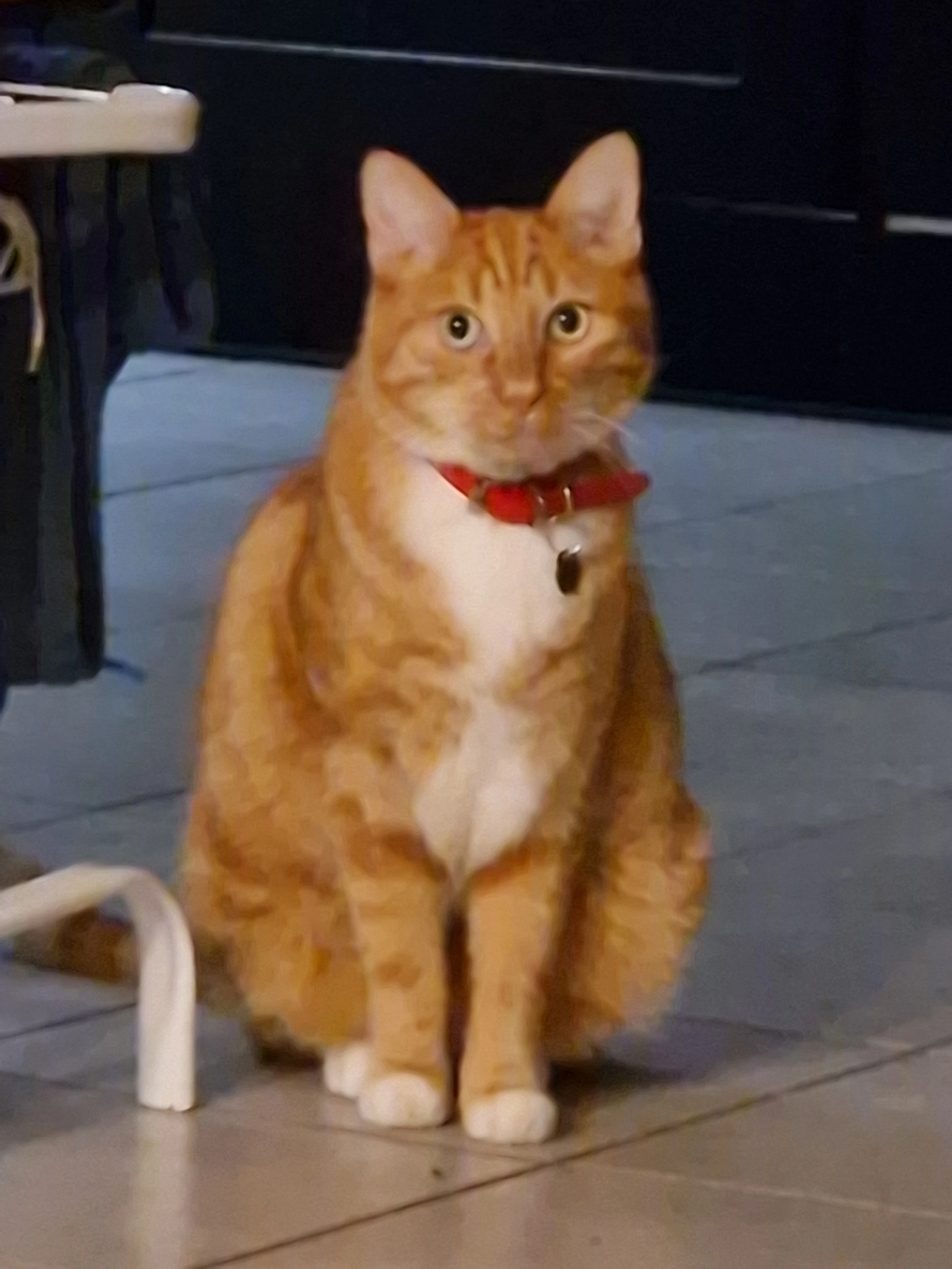 Hercule  - Route de Montereau, Châtenay-sur-Seine