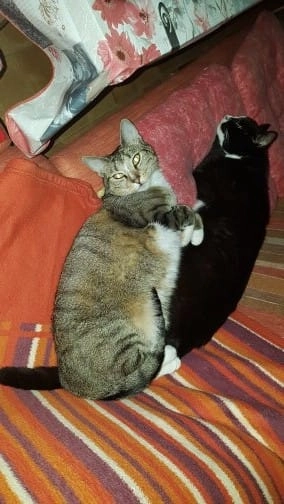 Lilly - Poststraße, Haßbergen