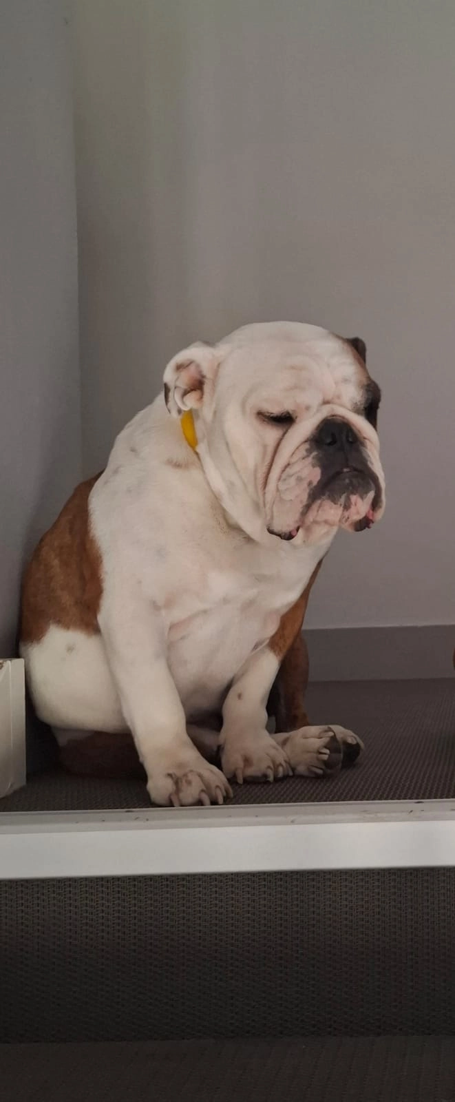 TABOULETTE - 31 Route de la Magnanerie, Choisel