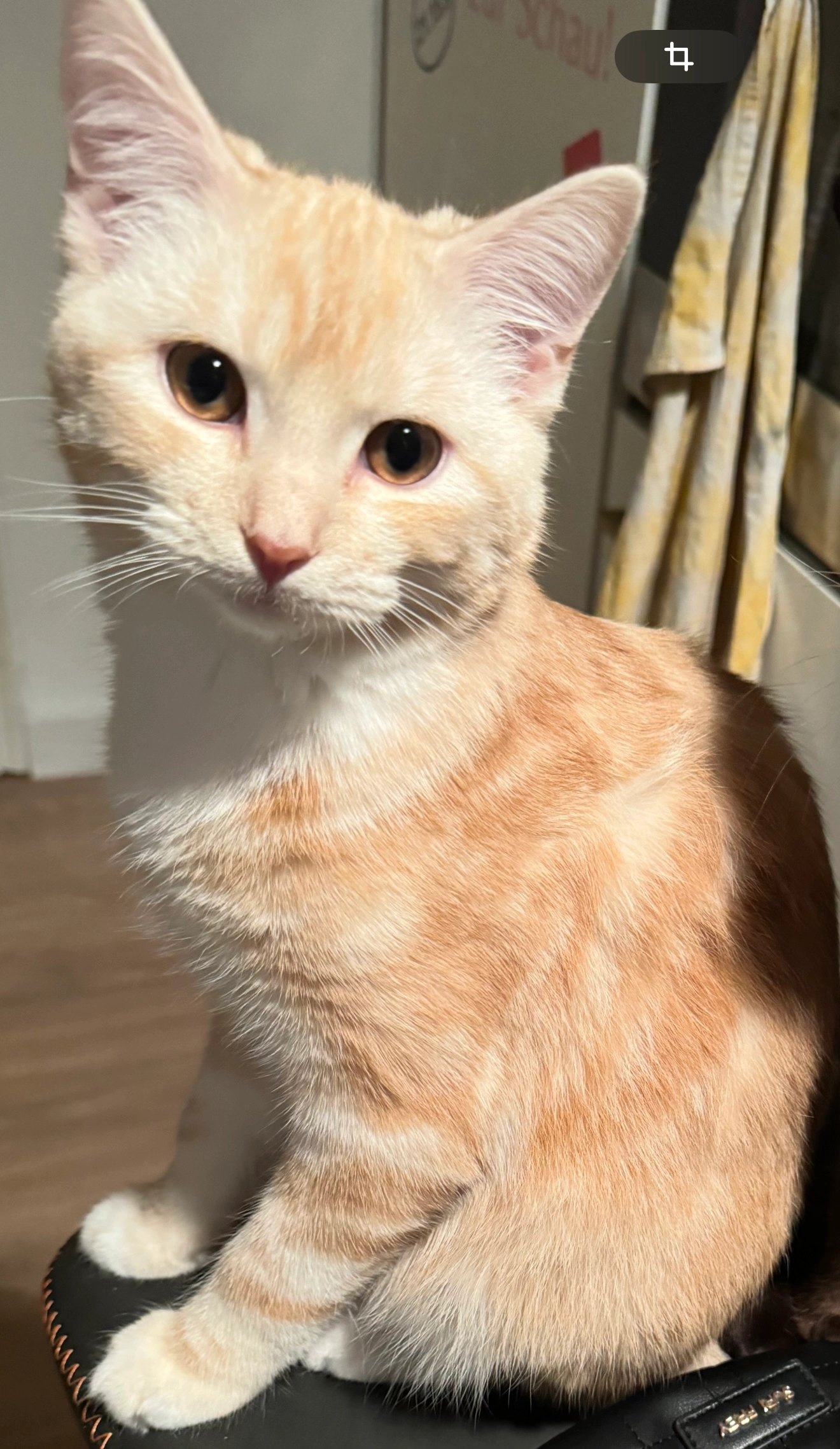 Fussel - Otto-Schröder-Straße, Schöneiche bei Berlin