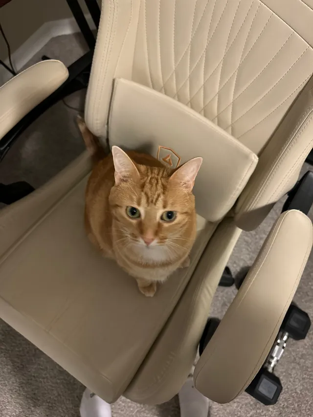 Rudy - Barisan Drive, Fort Wayne