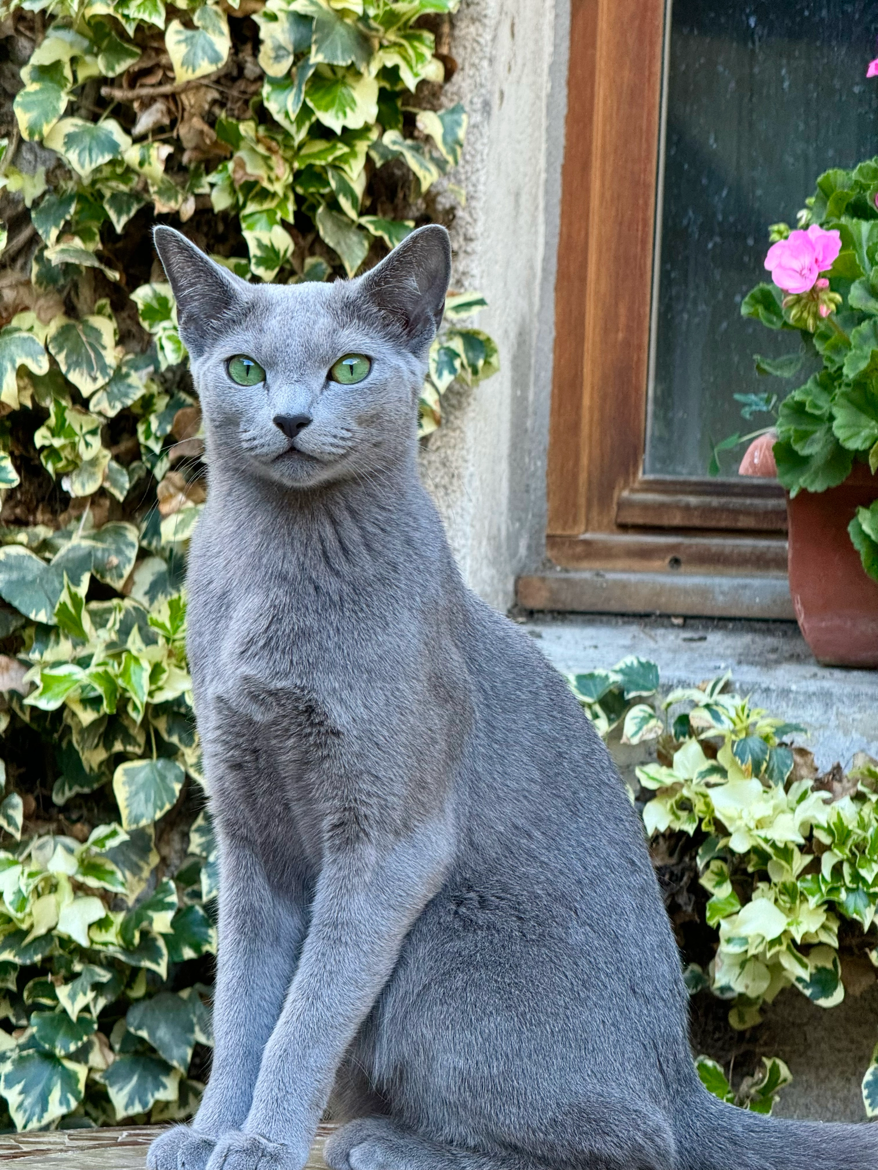 Umos - 81 Rue du Maine, Angers