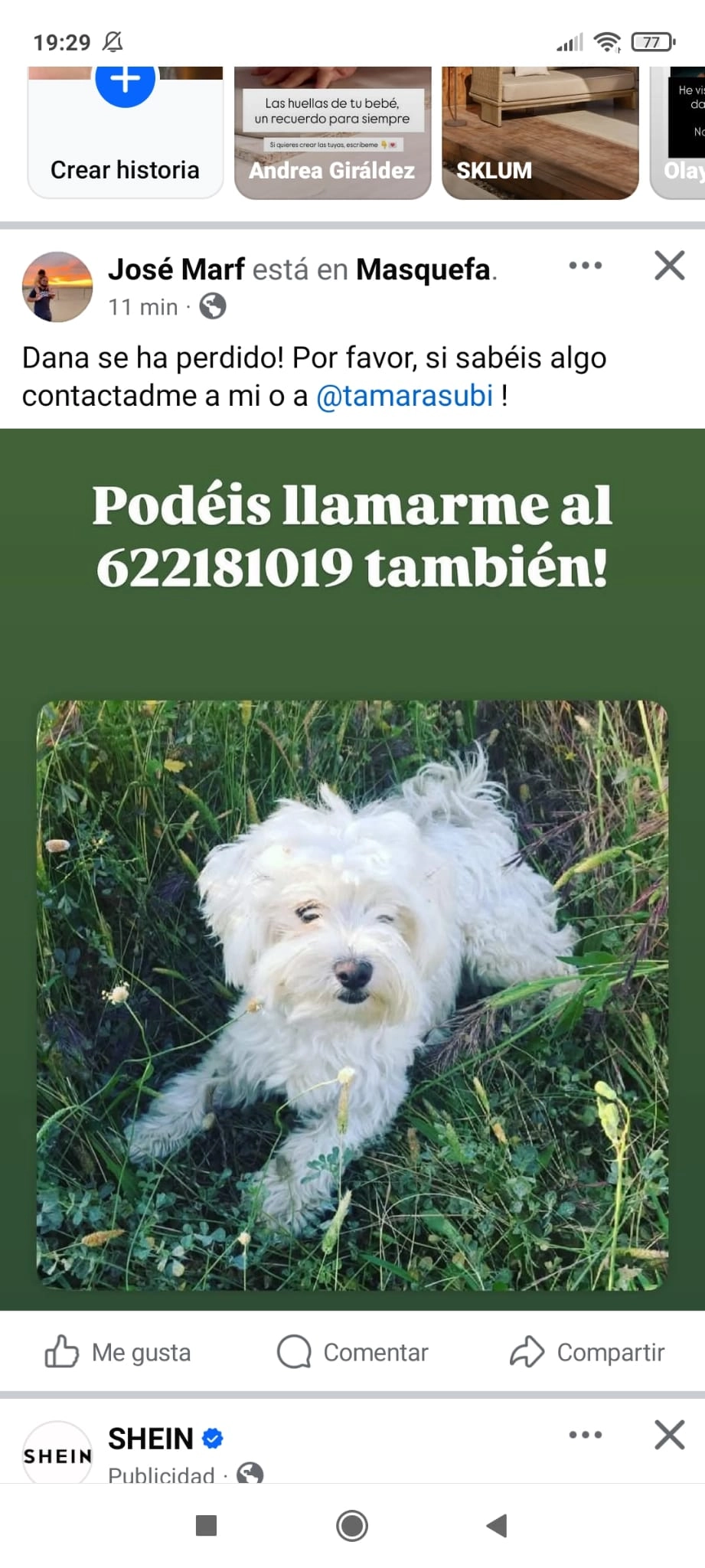 Dana - Avenida de la Línea, Masquefa