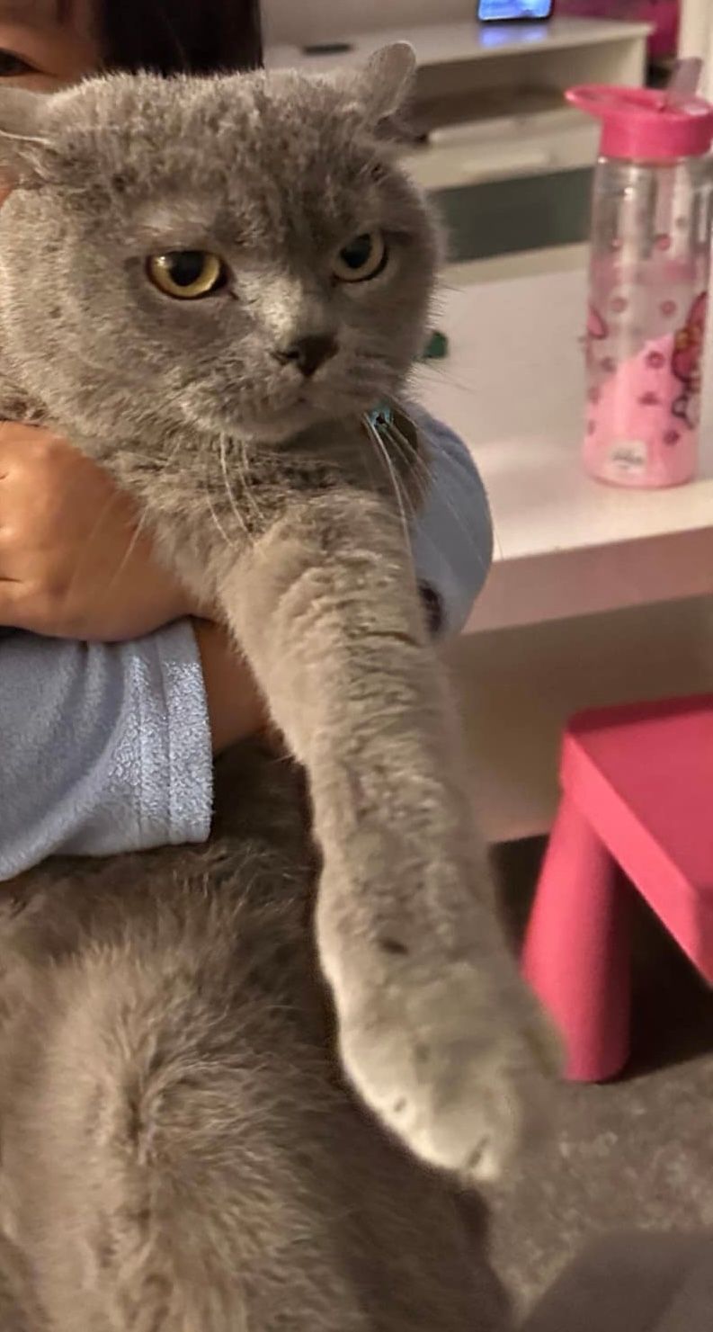 luki - Calle De Benimamet, Madrid