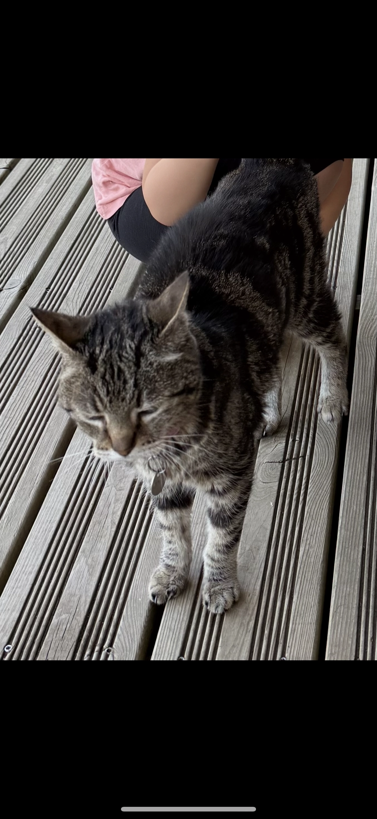 Tissia - Allée Du Temple, Sauzet