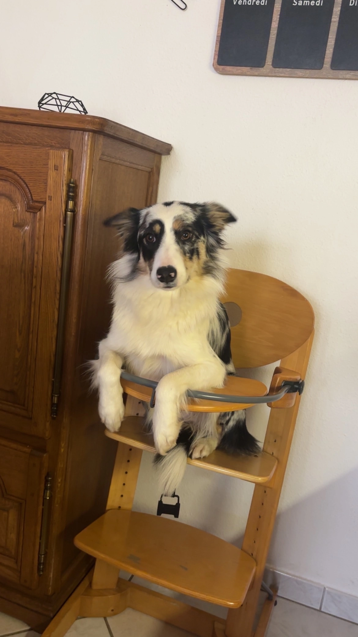 Nala - D 141, Lamath