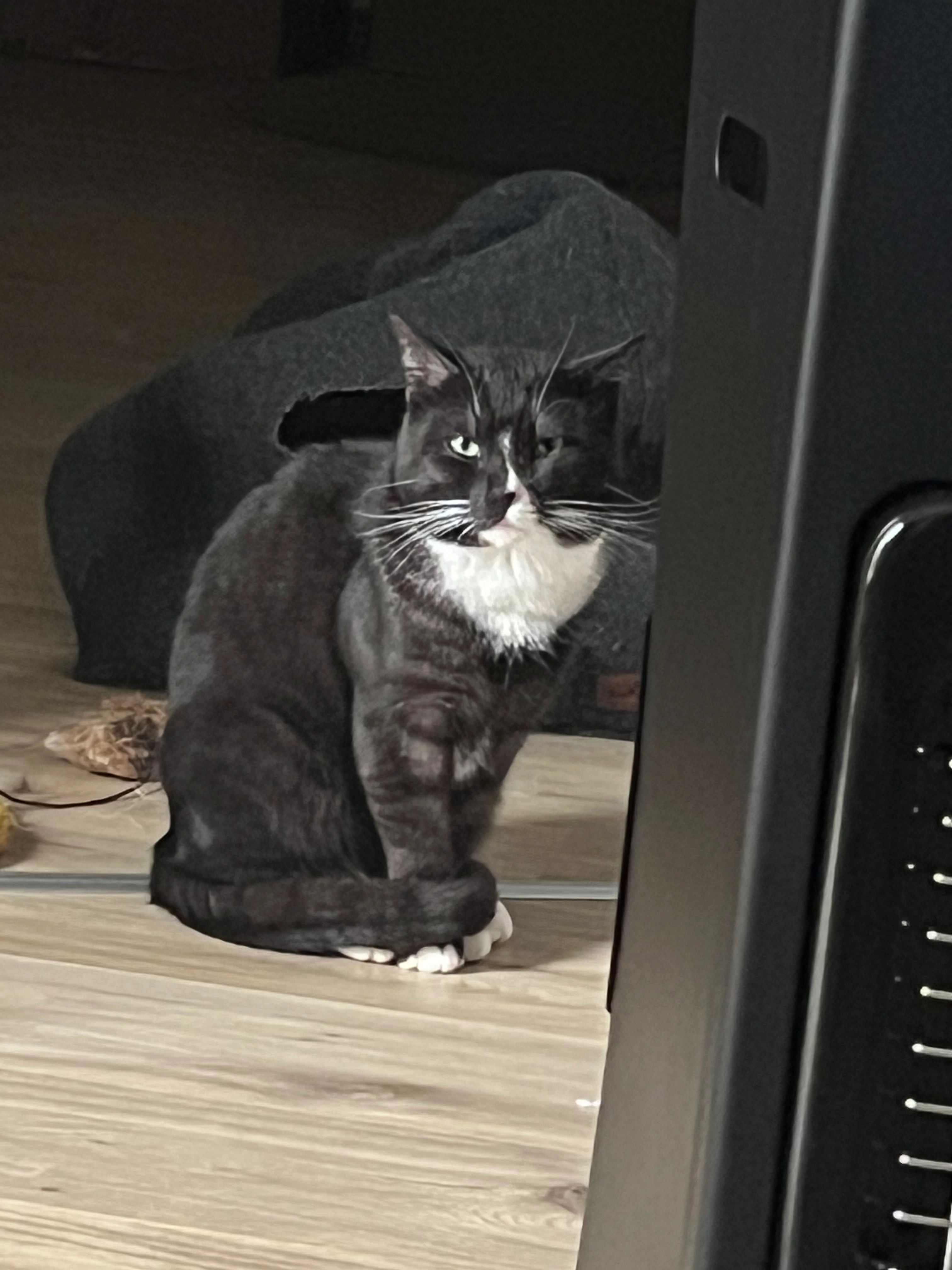 Kovu - Im Siefchen, Gummersbach