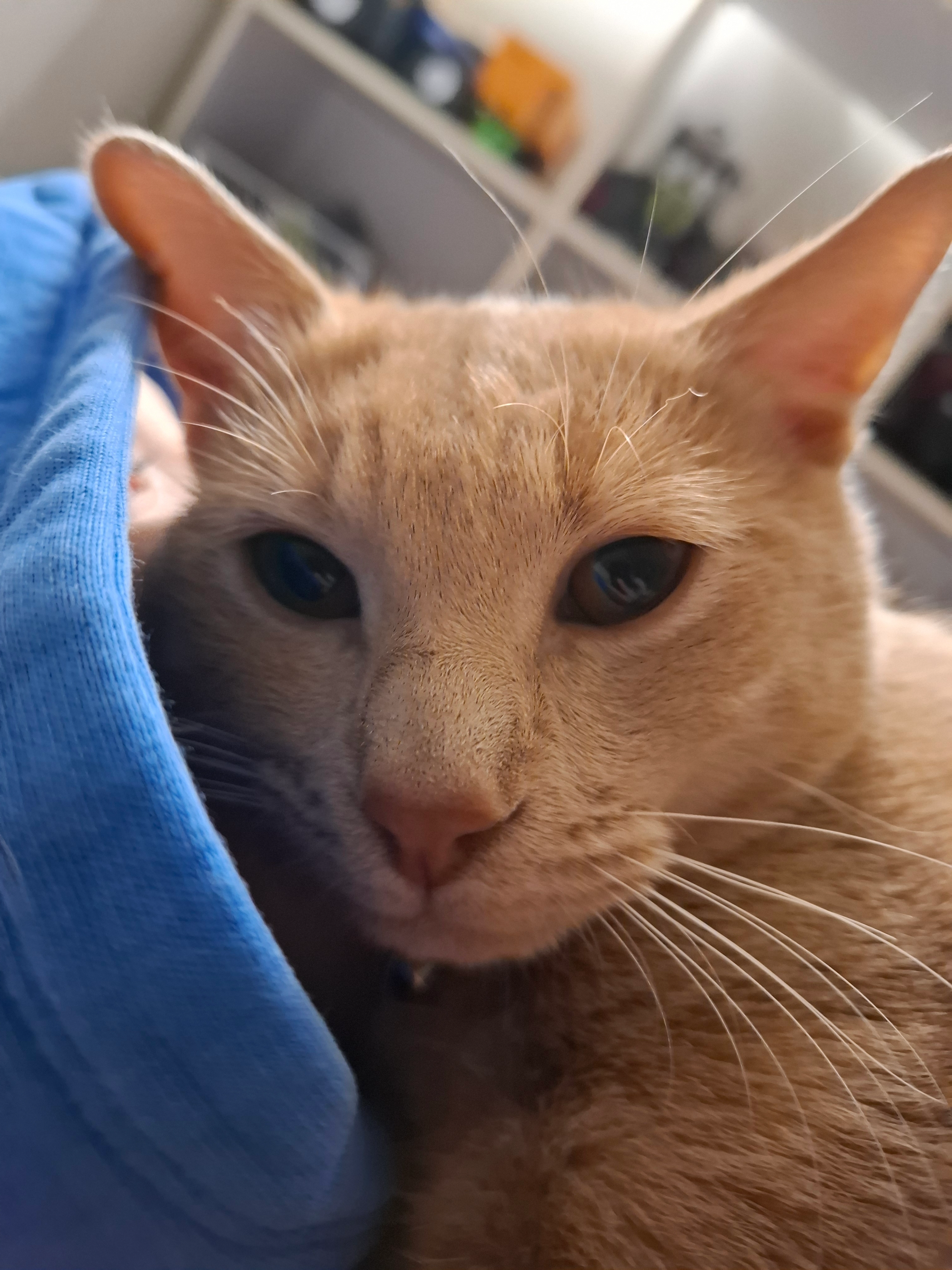 Groroux - 164 Route de la Bresse, Saint-André-le-Bouchoux