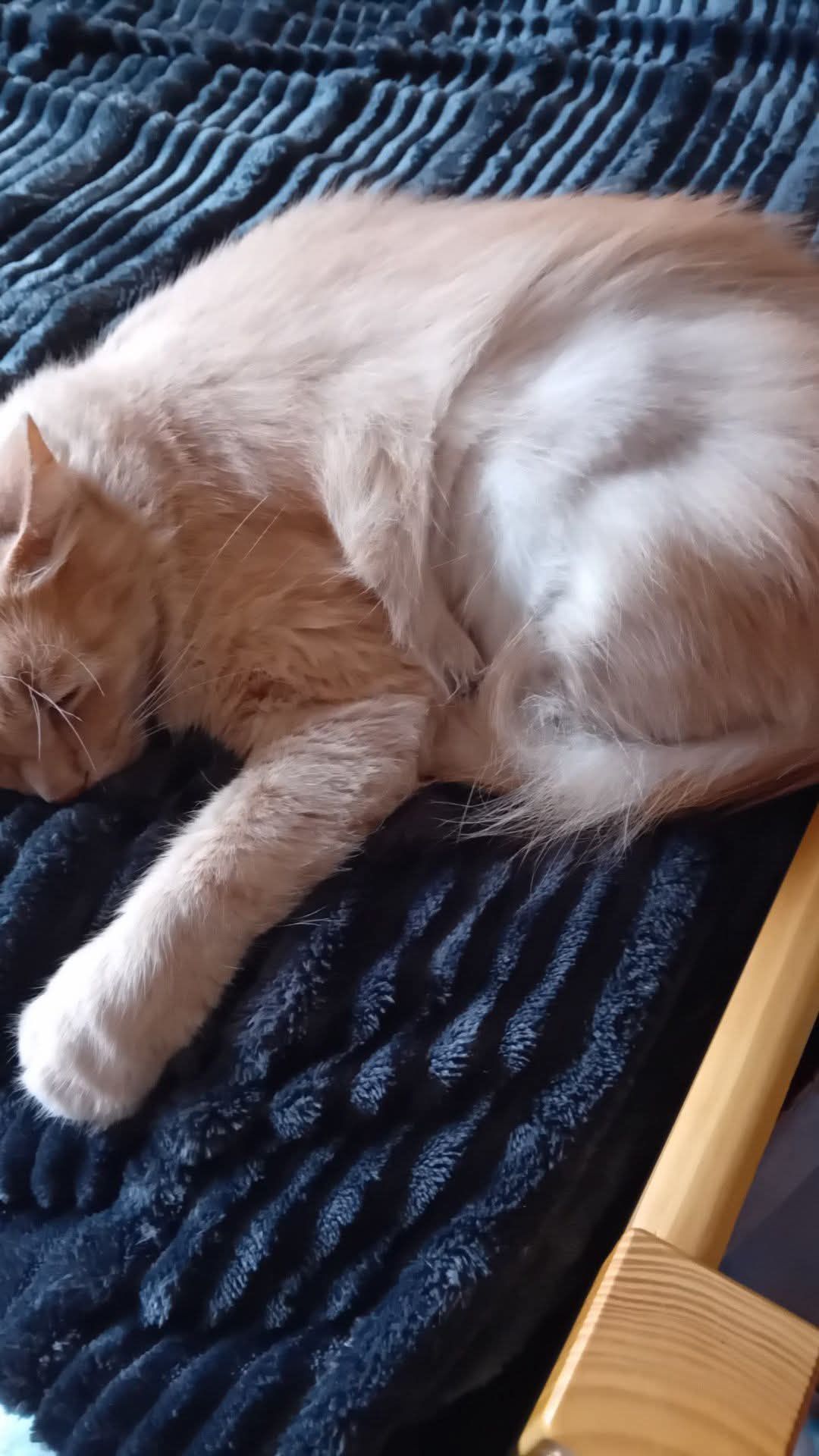 Crémeux  - Route de Saint-Martin, Puymiclan