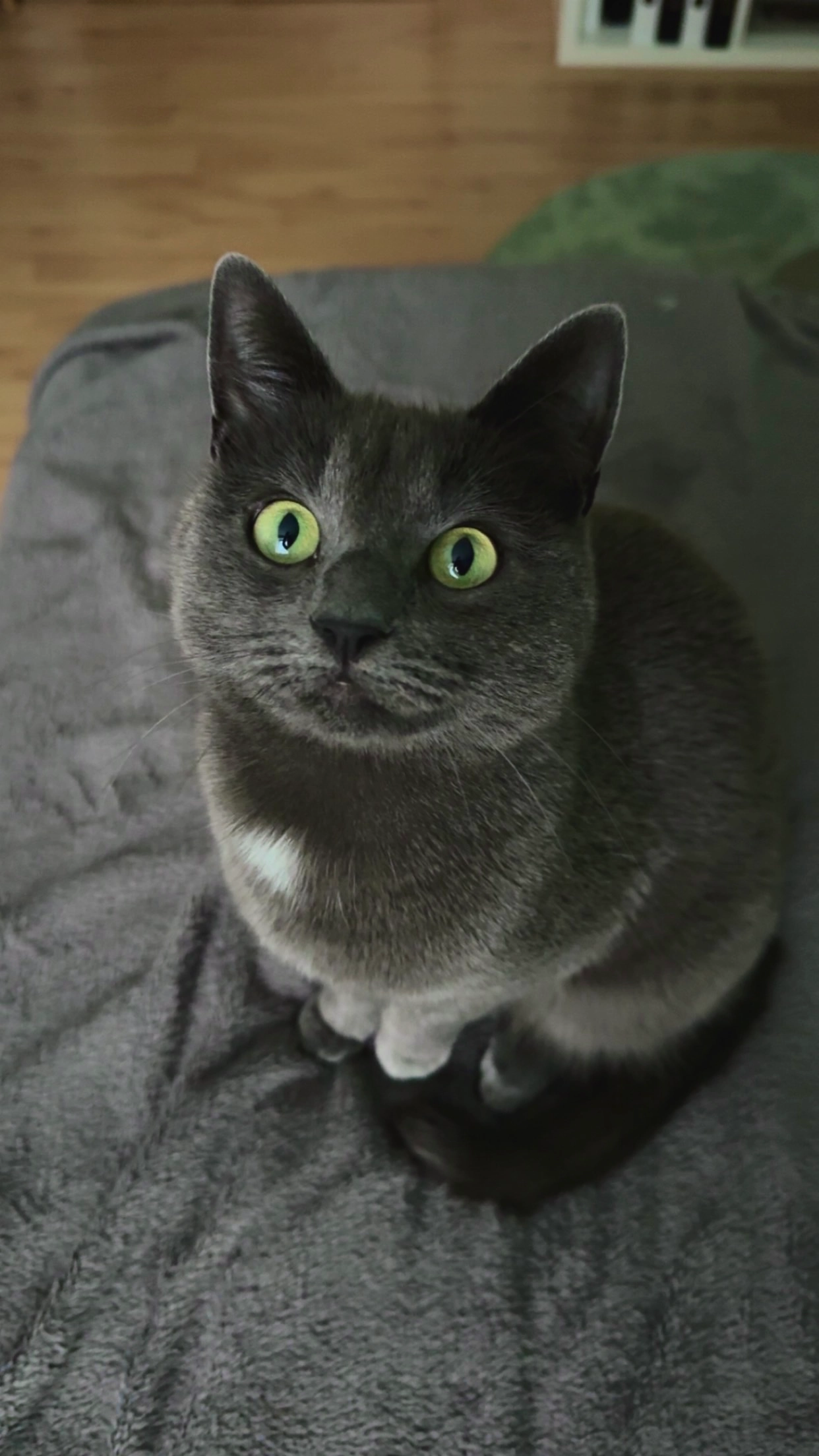 Sage - Binger Straße, Budenheim