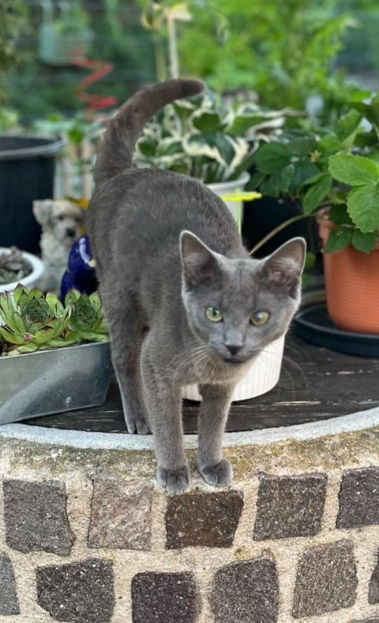 luna - Am Falbenholzweg, Schwabach