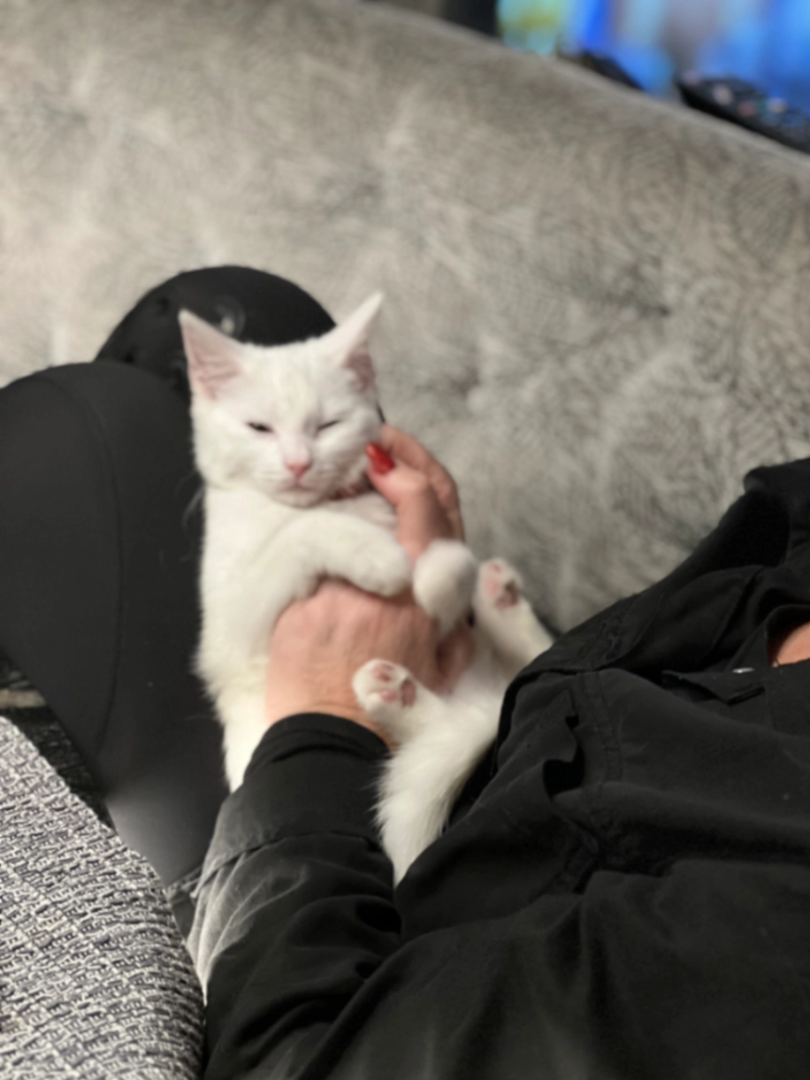 Penny - Bescar Lane, Ormskirk