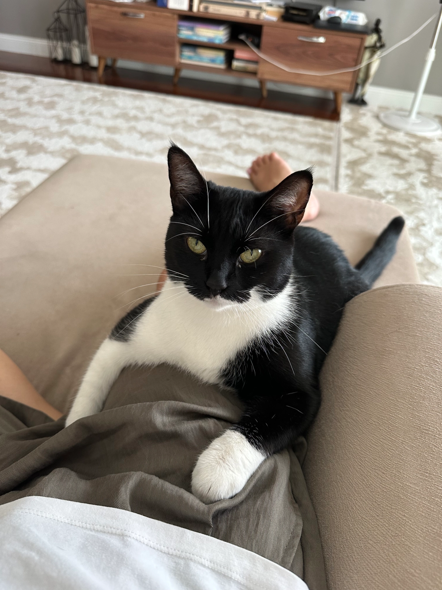 Chernuha - Finanskent Konutları Yolu, Güzeltepe