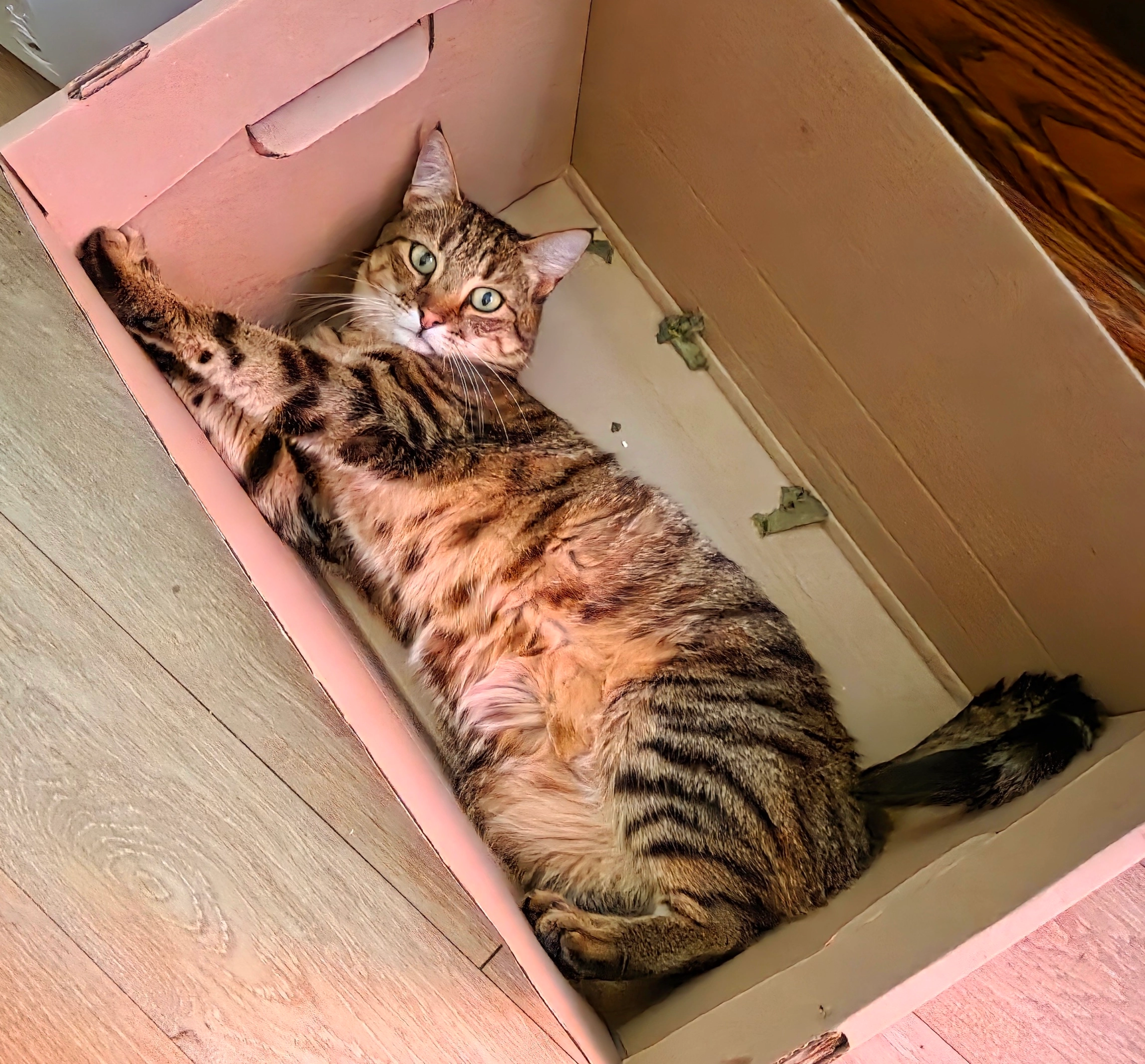 Kira - Fleischerstraße, Eislingen/Fils