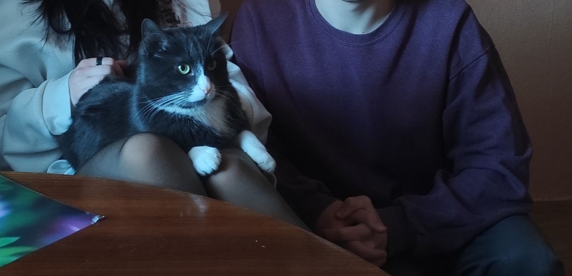 Noragami - Neckarstraße, Neckargemünd