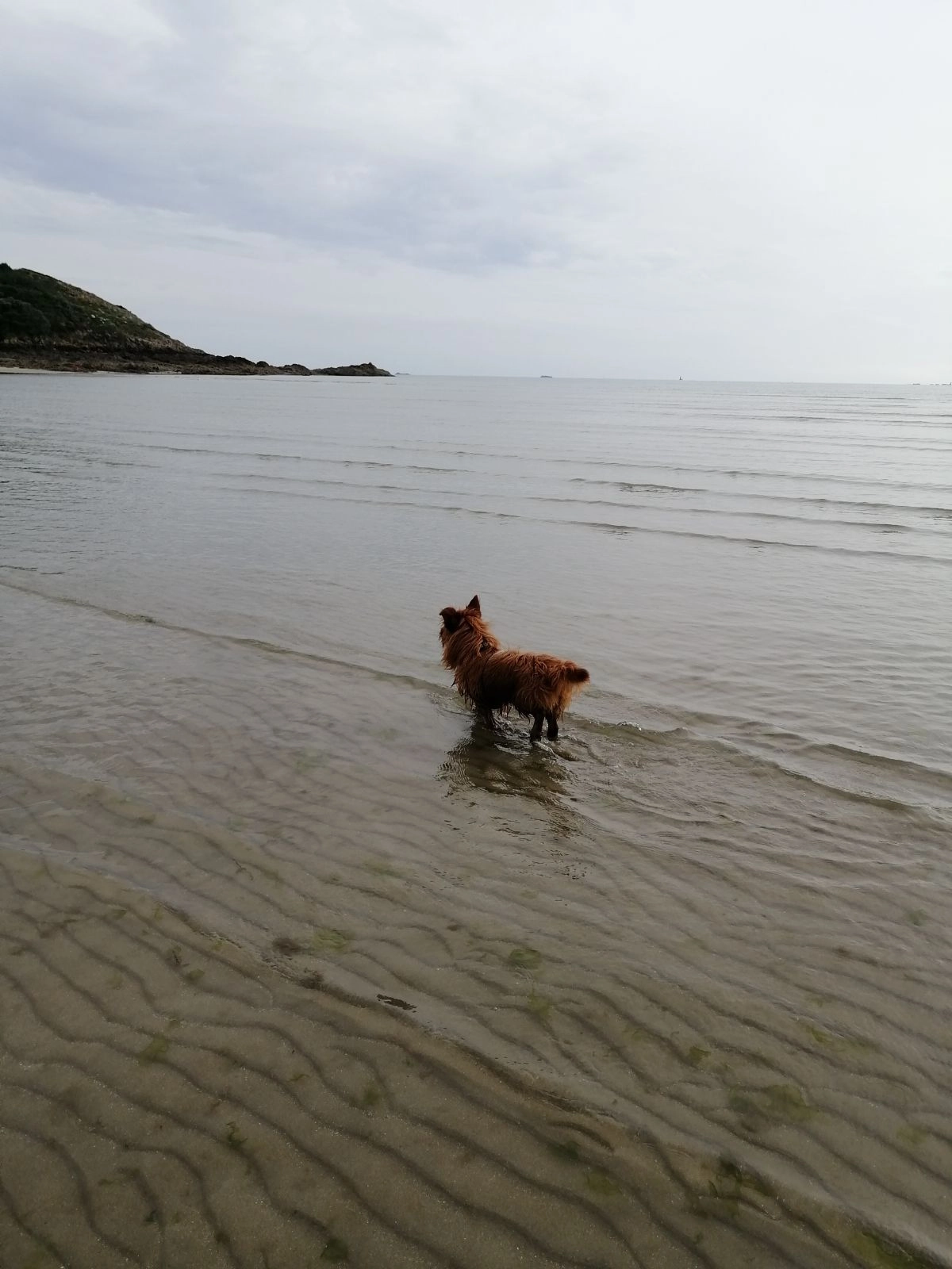 Rex - Rue du Port, Giffaumont-Champaubert