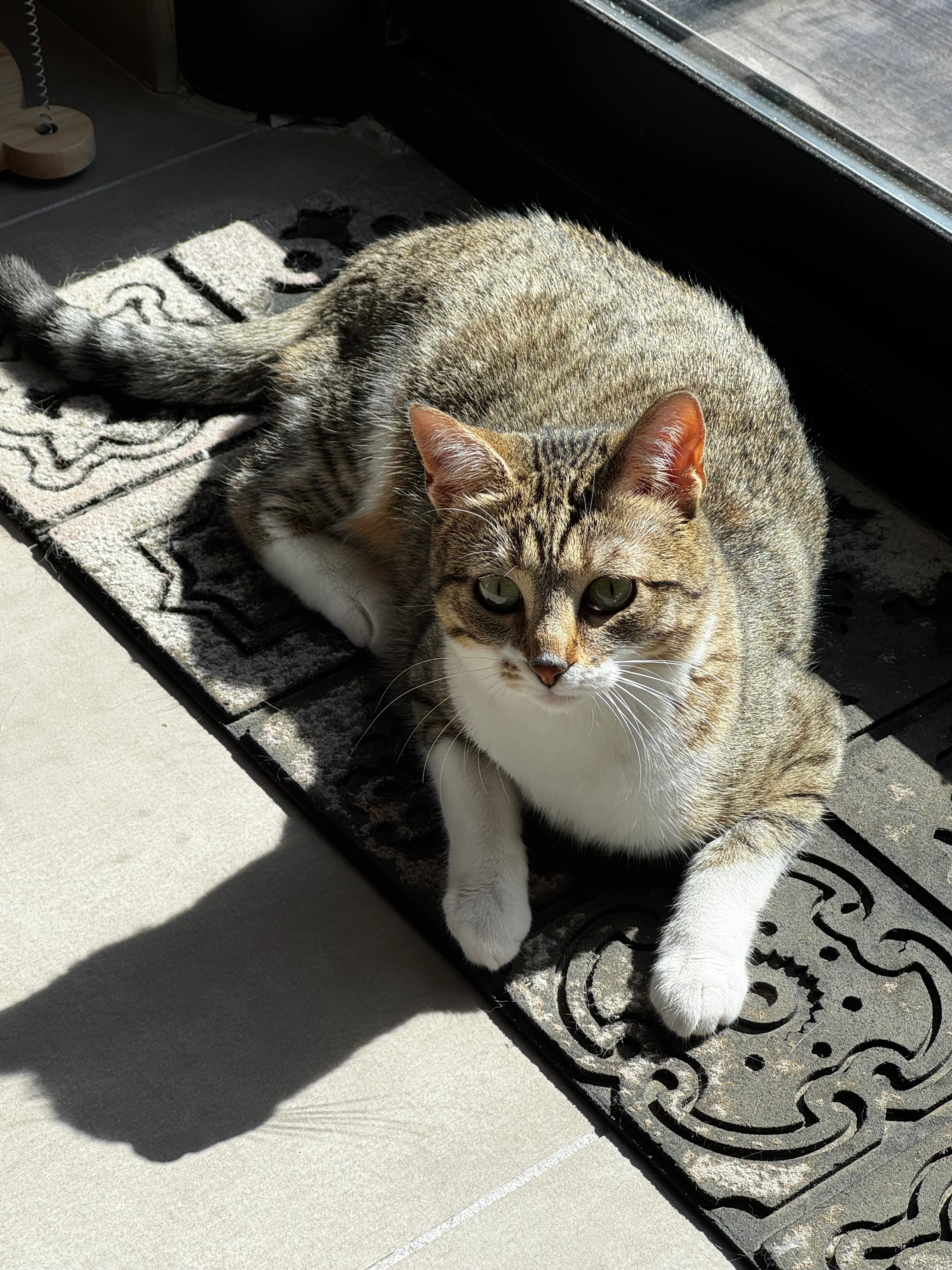 Moi - 74 Rue de la Brise, Saint-Just