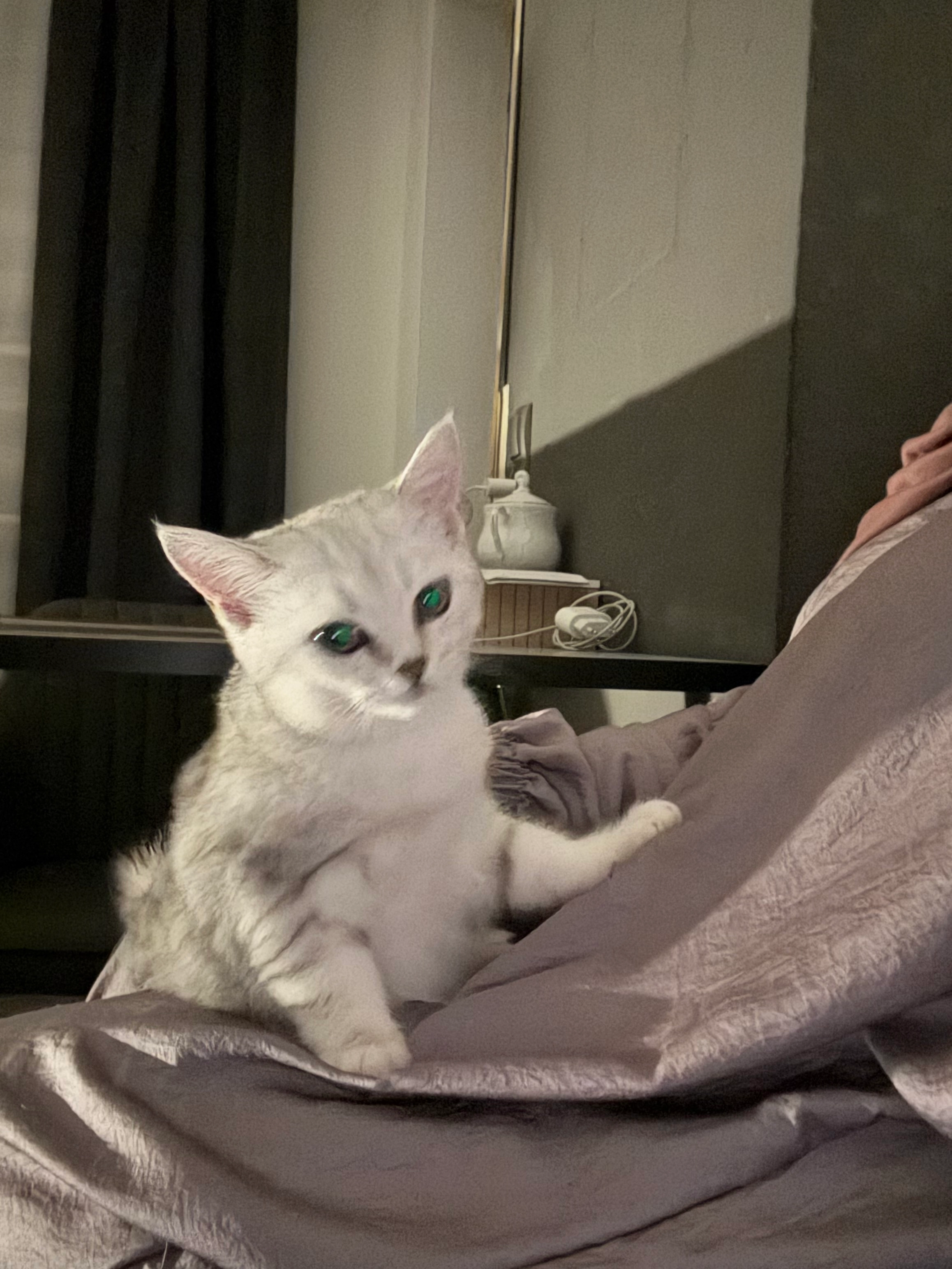 Mila - Bahnhofstraße, Speyer