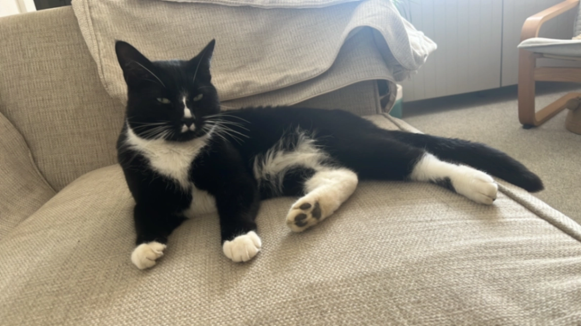 Max - Daisy Close, Sherborne