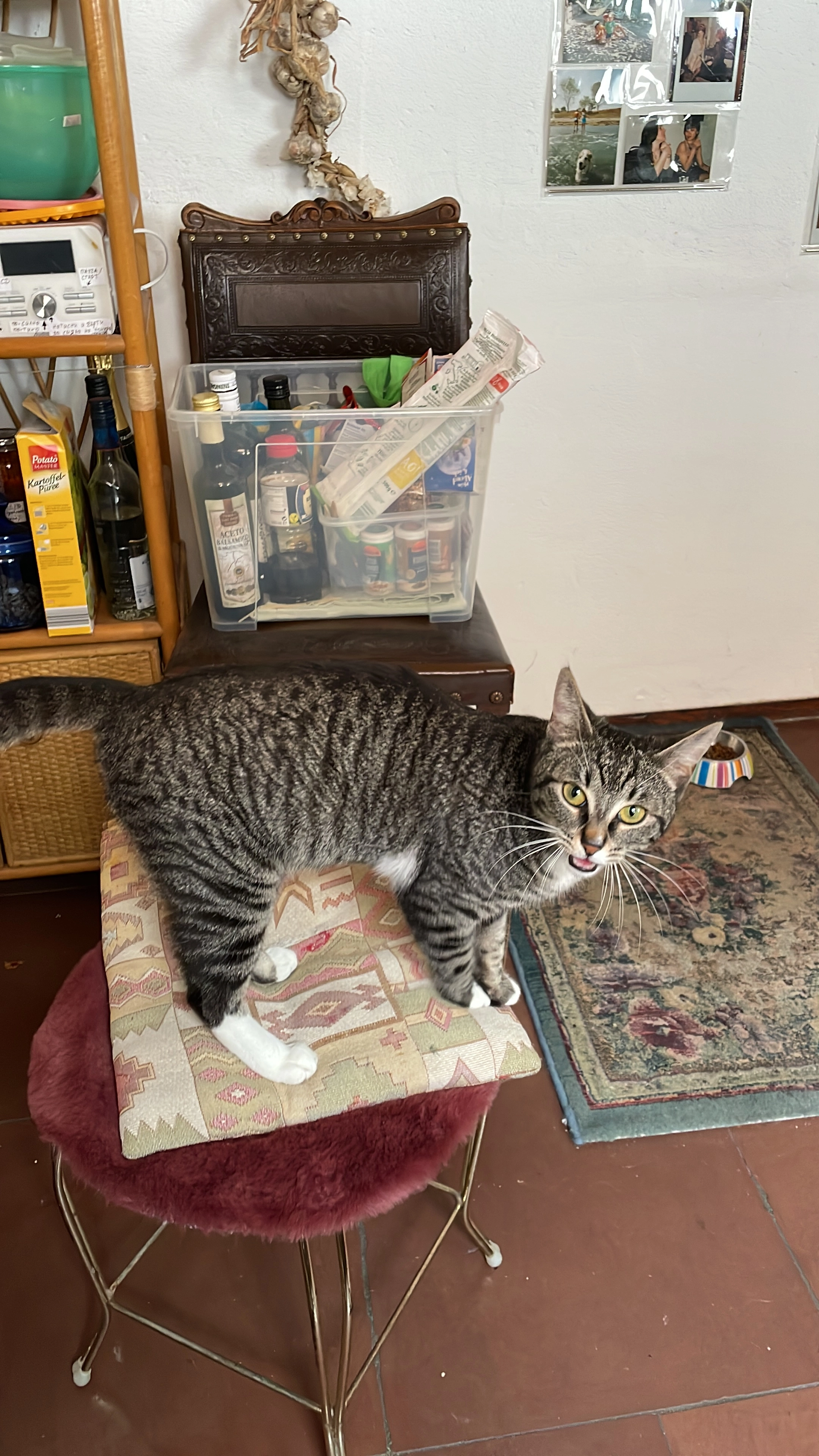 Matzi - Hauptstraße, Zell am Main