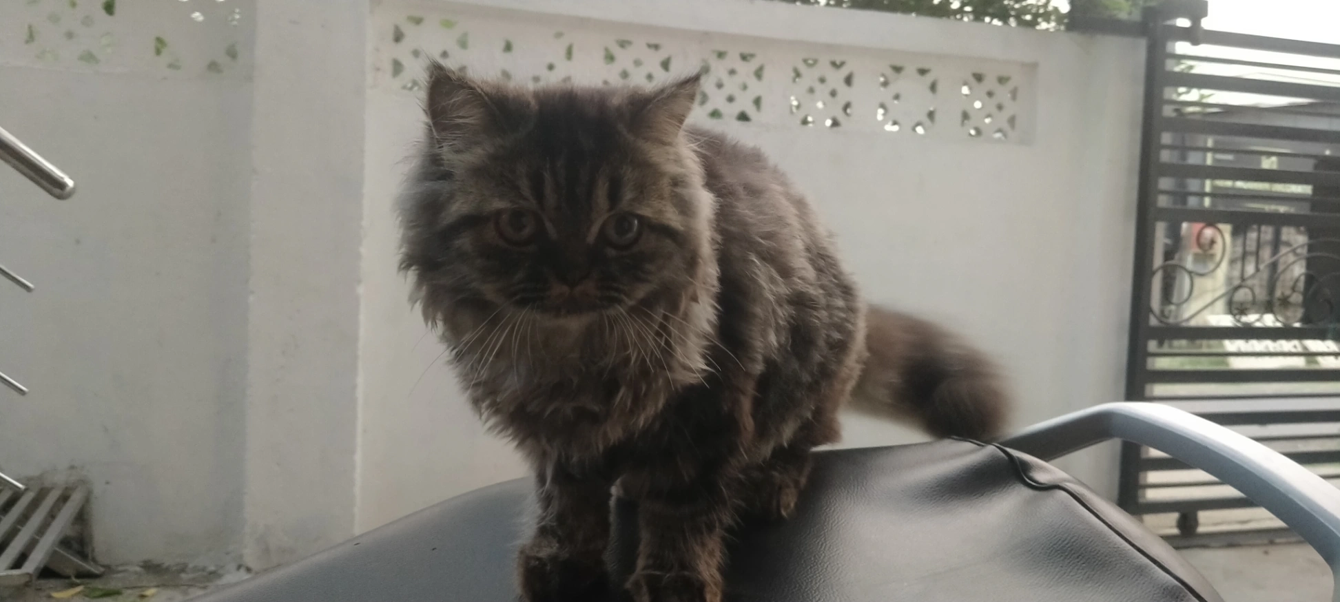 Leo - Jaydurga Nagar Road No 3, Swami Nagar