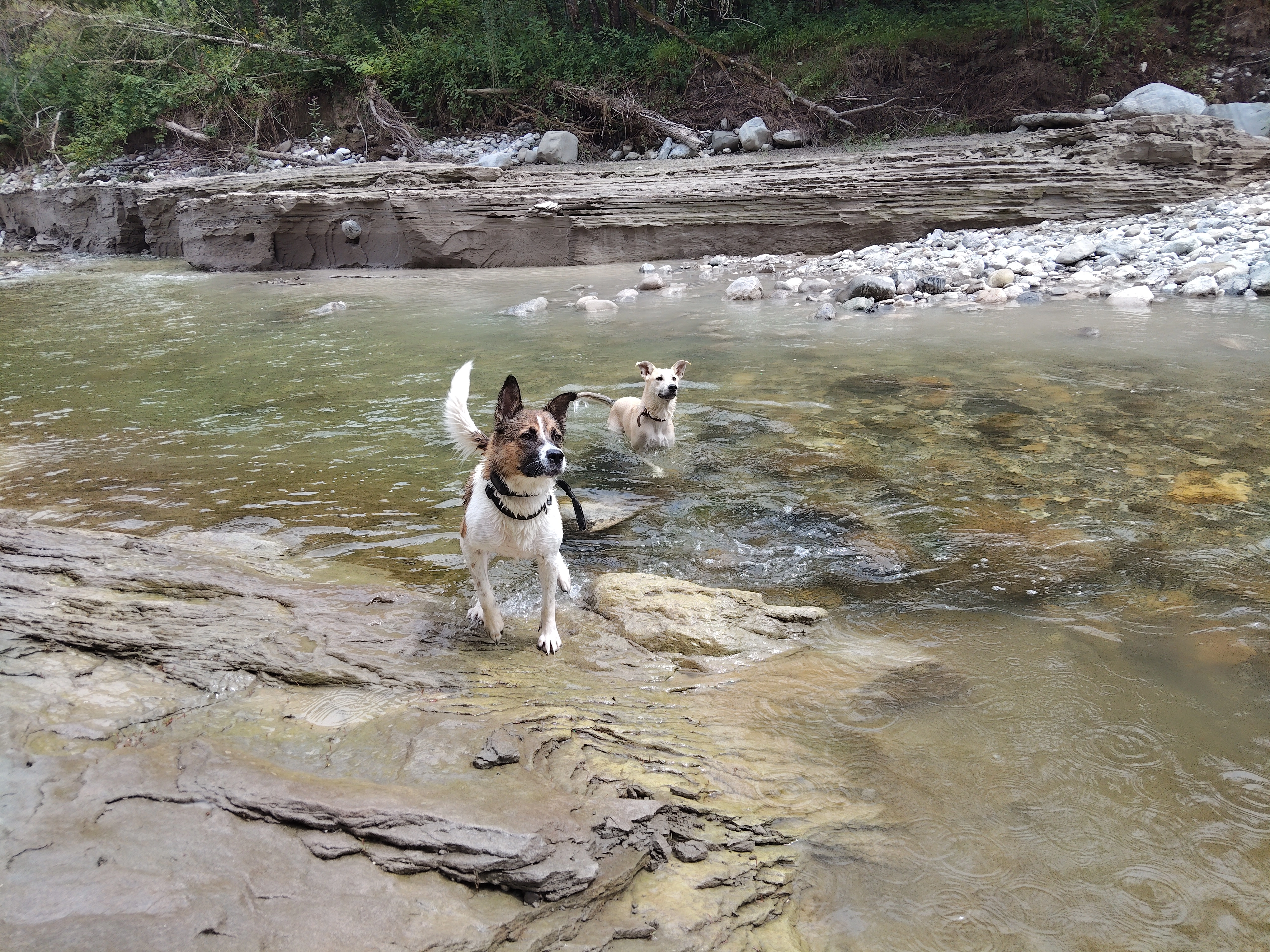 Kokat et loukoum - Chemin du Pouget, Marin