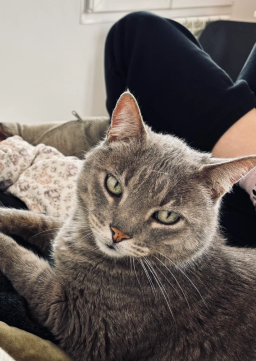 Gutierrez - Tibbets Close, London