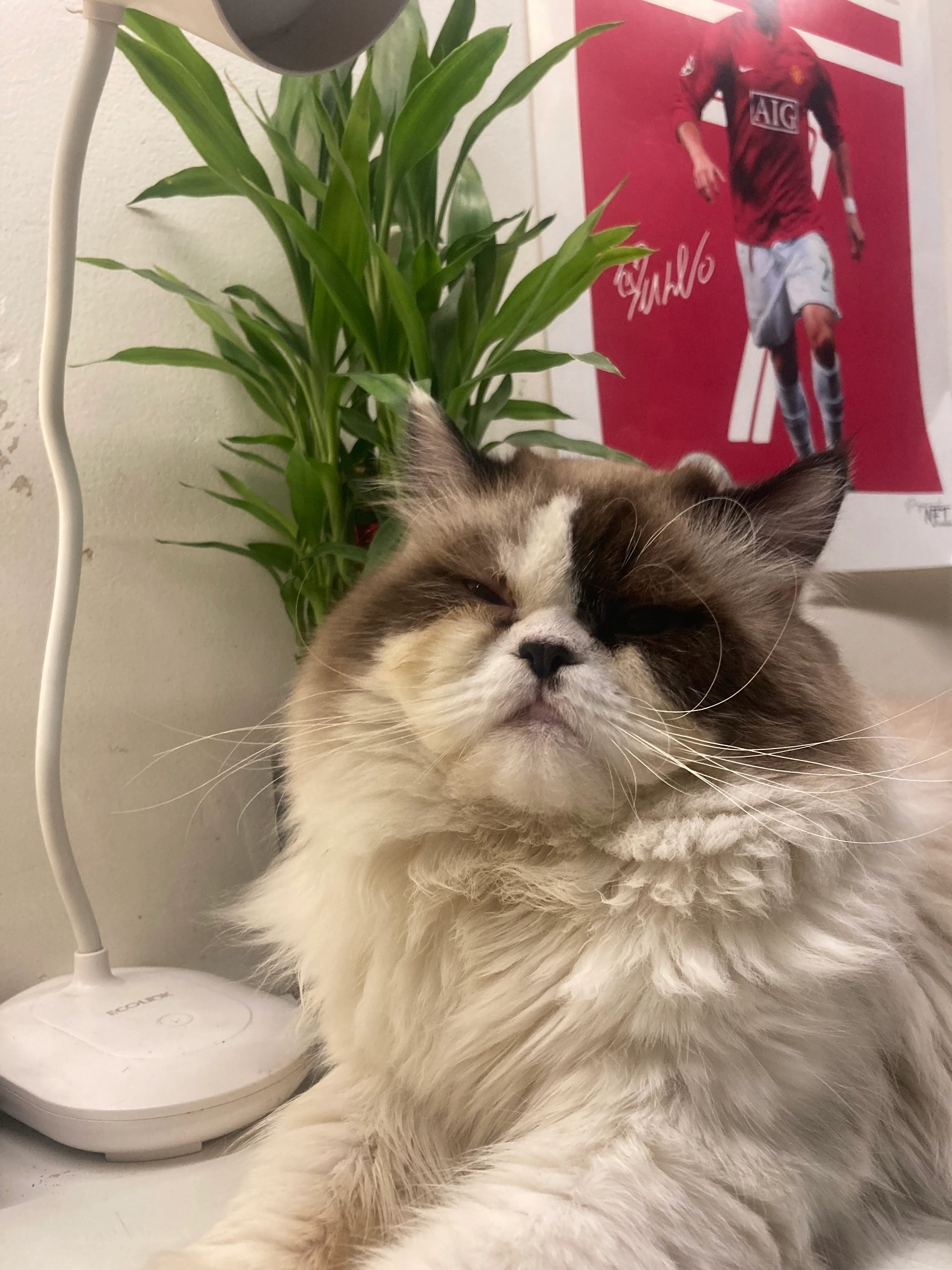 Milo  - 2nd Main Road, Bengaluru