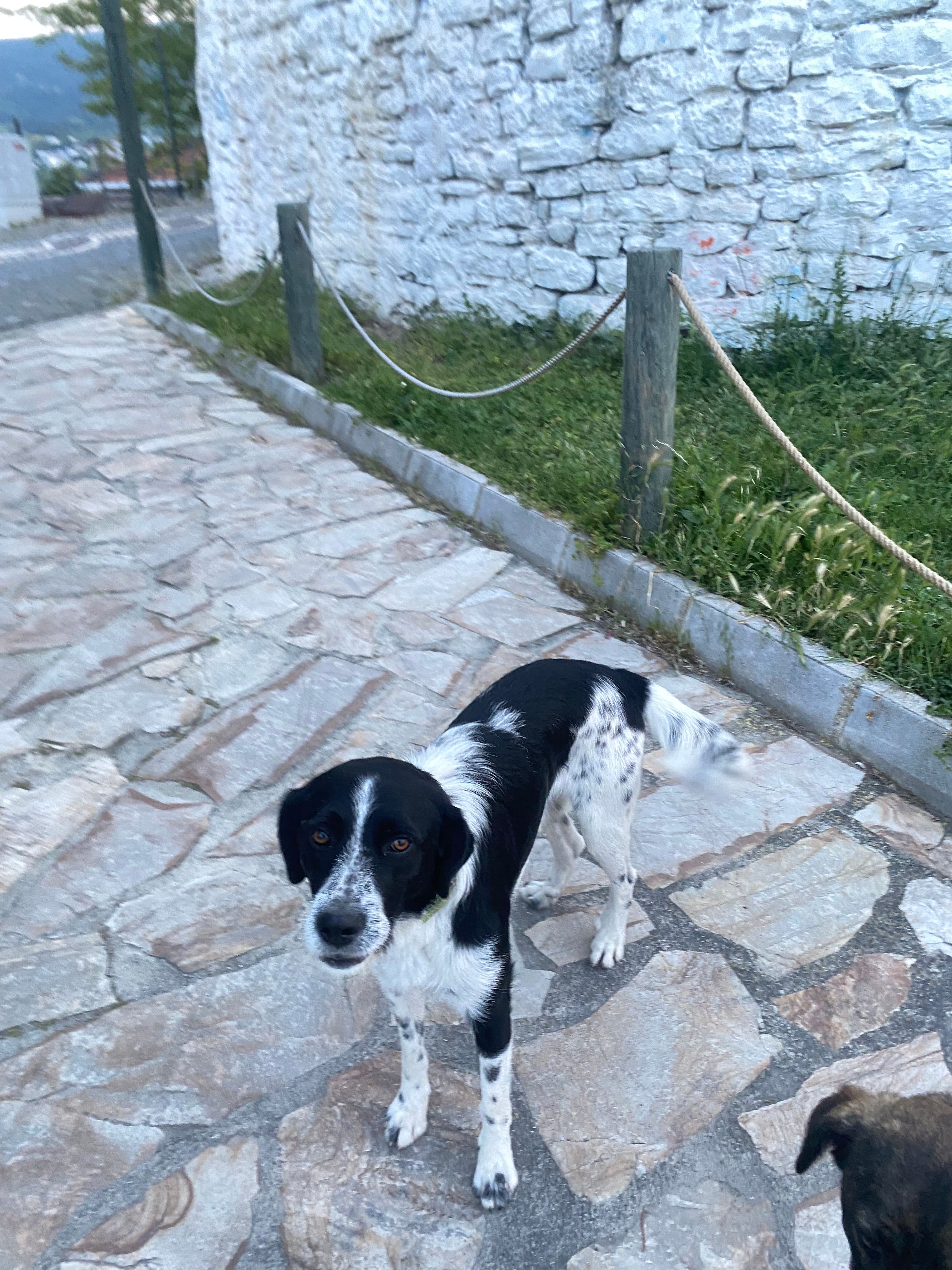 Yaman - Eski Sinop-Bafra Yolu Gerze , Sinop/ Gerze