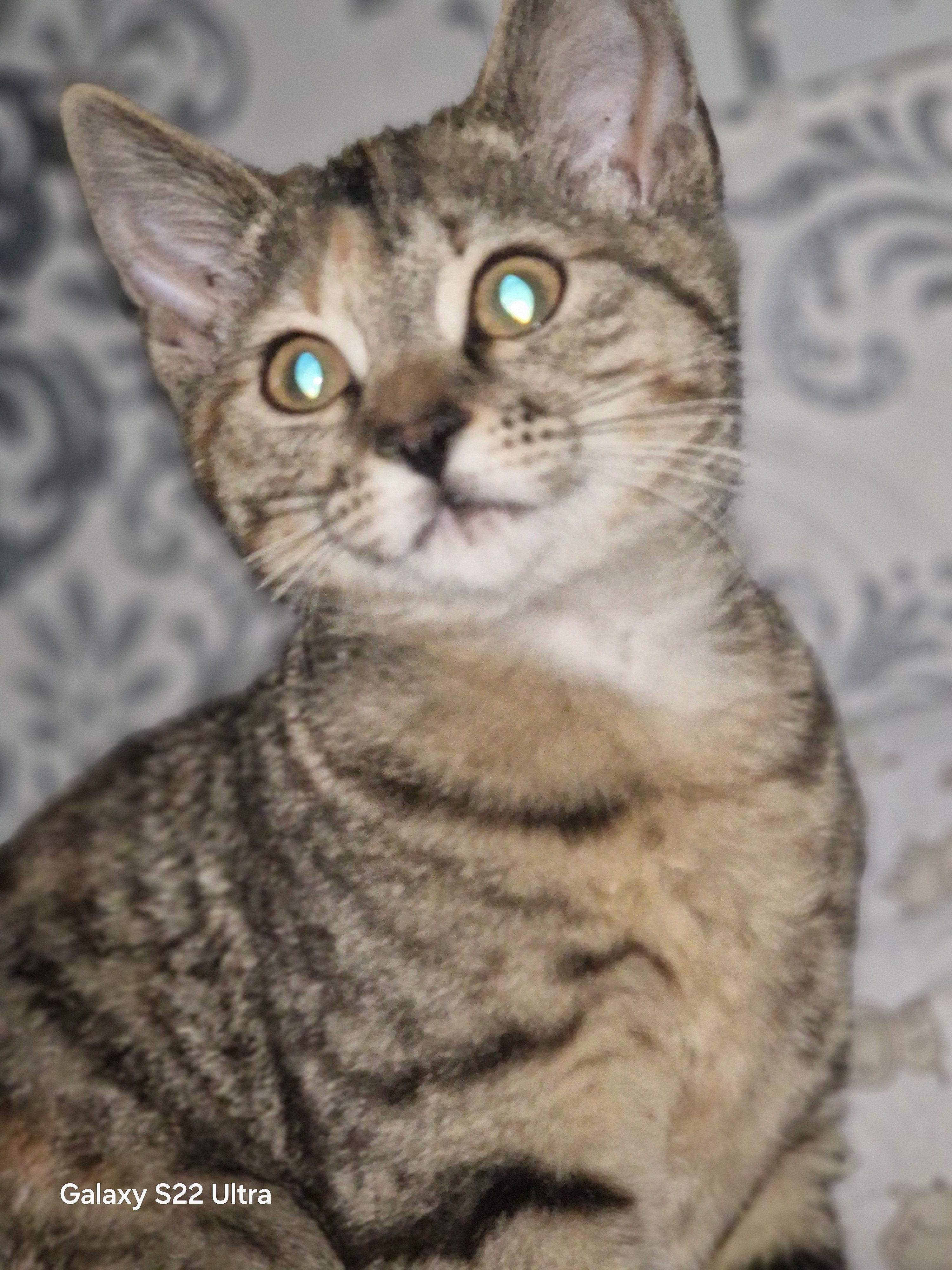 Luna - Hersbrucker Straße, Hersbruck