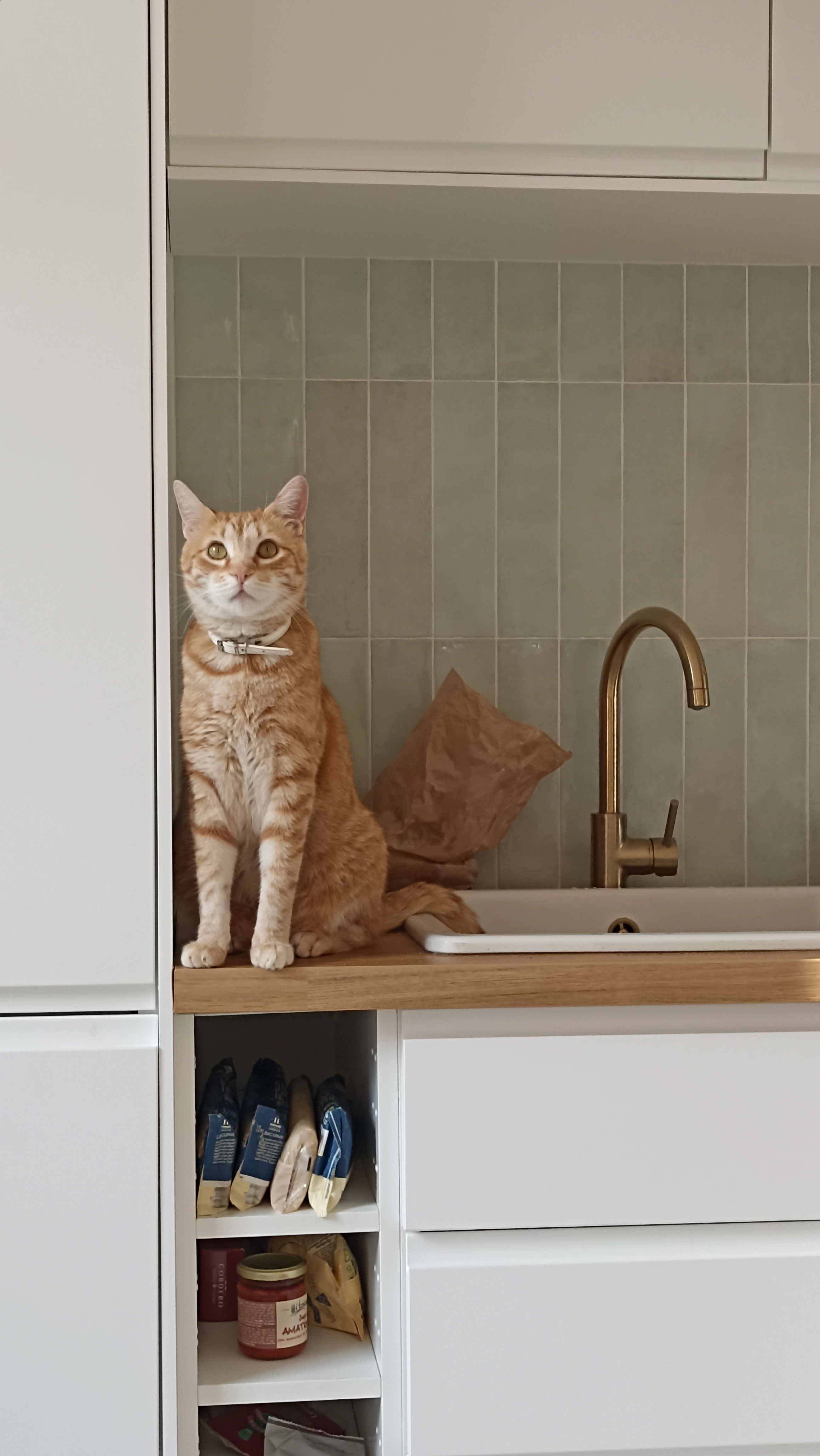 Eddie - 20 Rue de la Tête Noire, Cholet